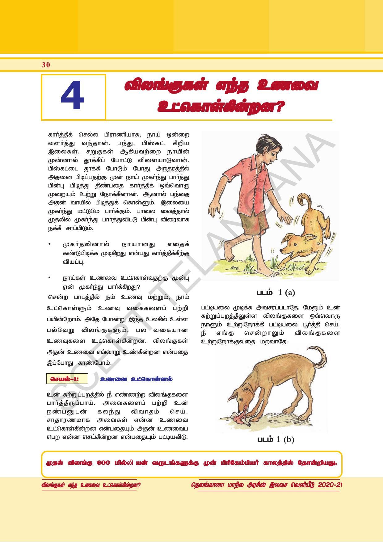 TS SCERT Class 6 General Science  (Tamil Medium) Text Book - Page 44