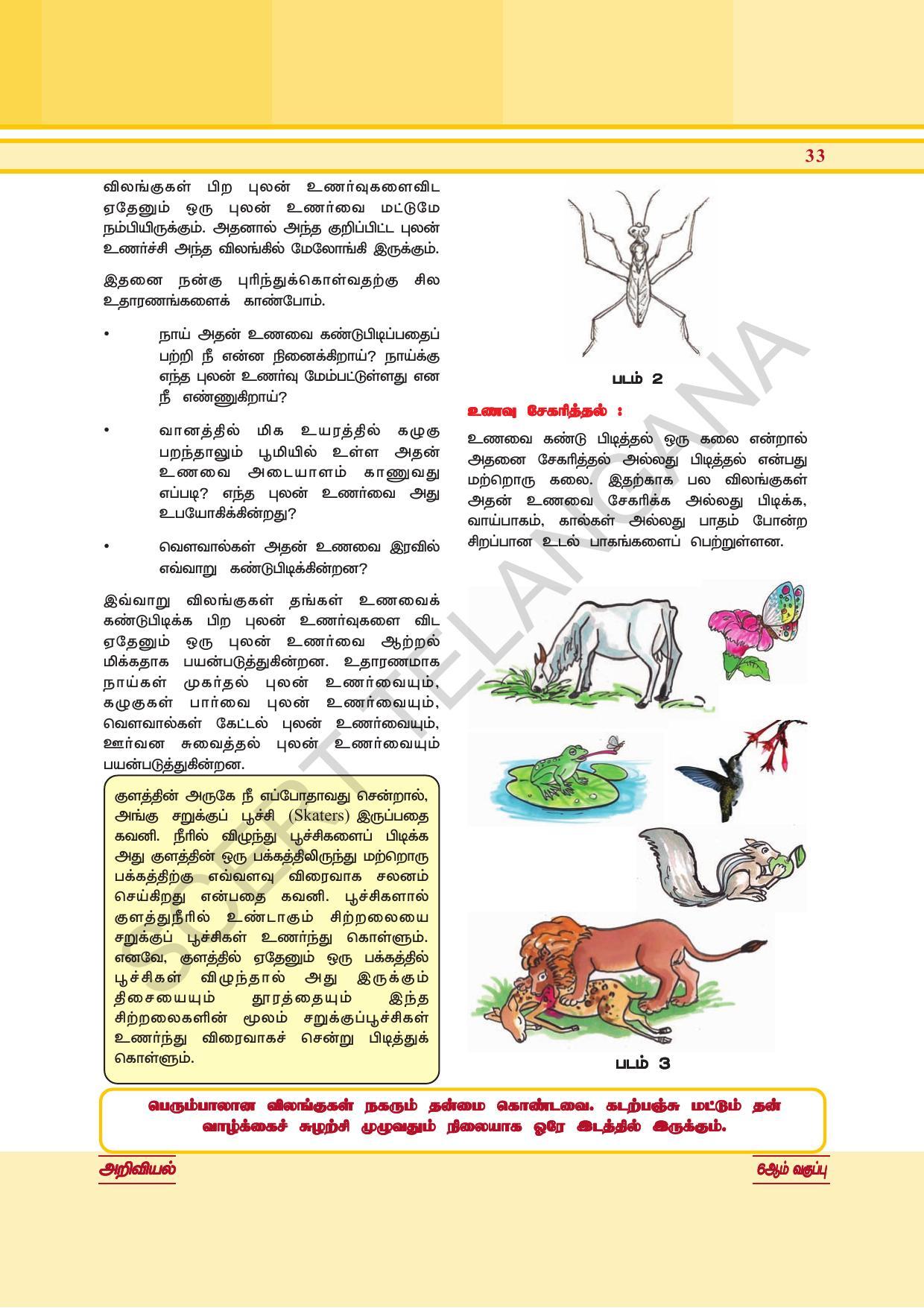 TS SCERT Class 6 General Science  (Tamil Medium) Text Book - Page 47