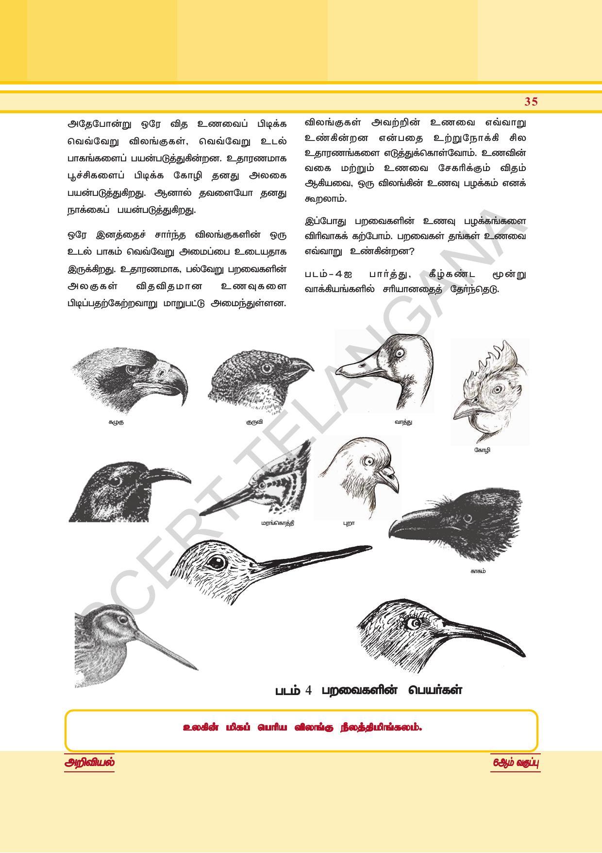 TS SCERT Class 6 General Science  (Tamil Medium) Text Book - Page 49