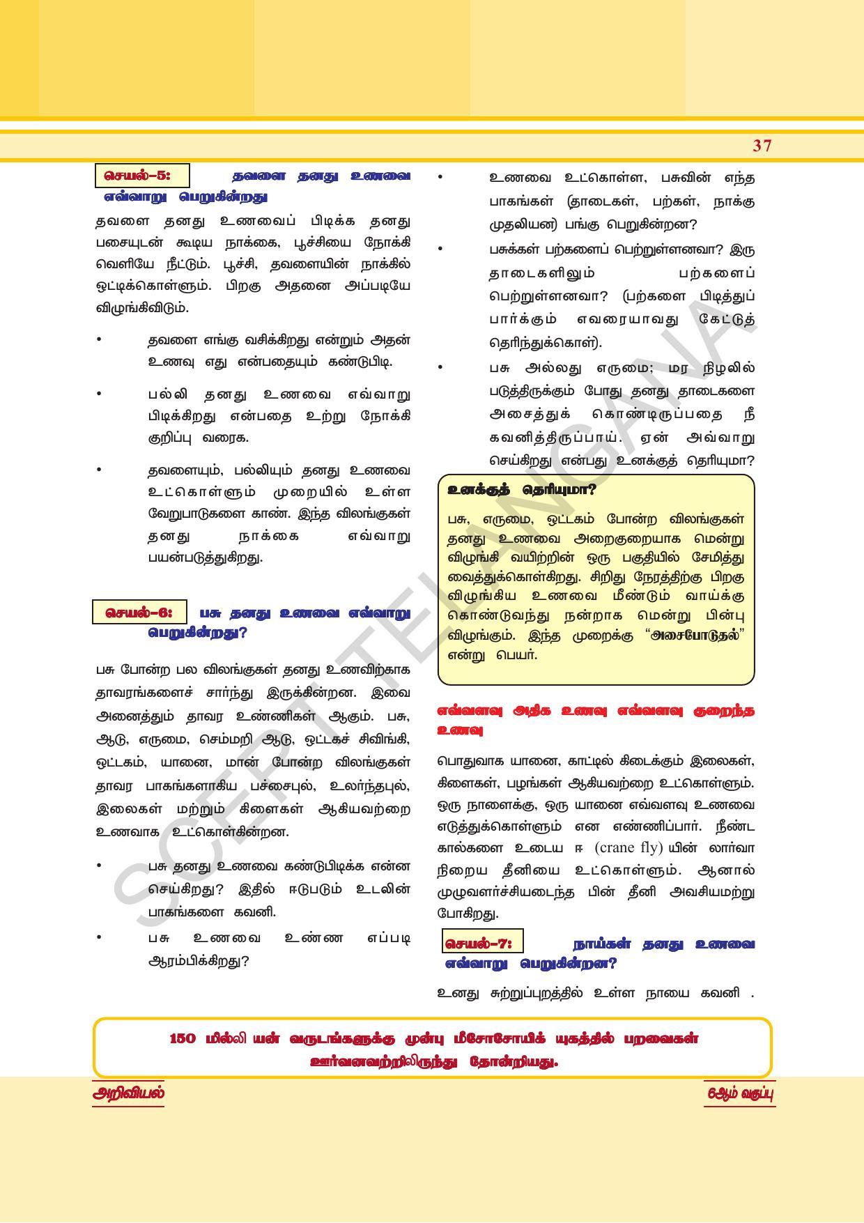 TS SCERT Class 6 General Science  (Tamil Medium) Text Book - Page 51