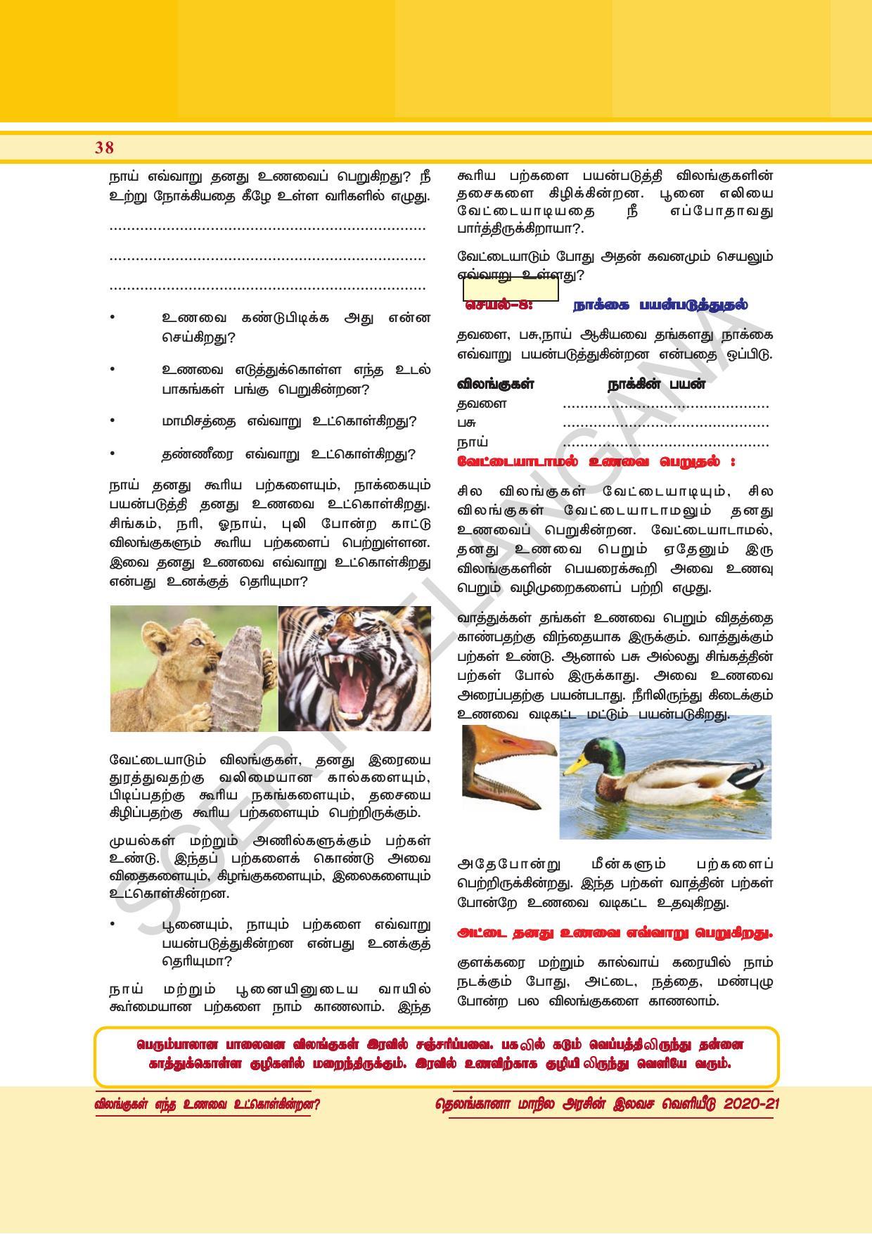 TS SCERT Class 6 General Science  (Tamil Medium) Text Book - Page 52