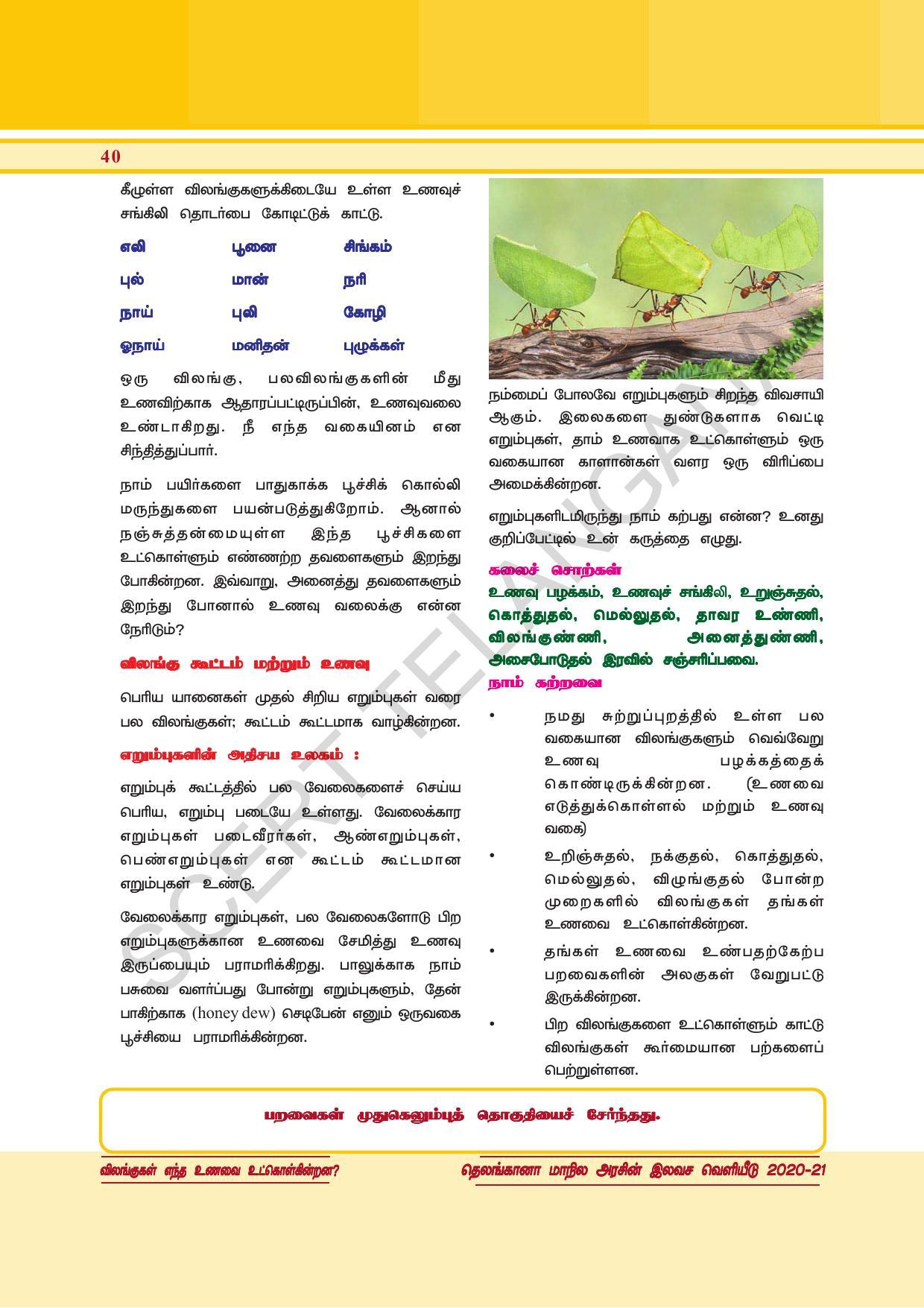 TS SCERT Class 6 General Science  (Tamil Medium) Text Book - Page 54