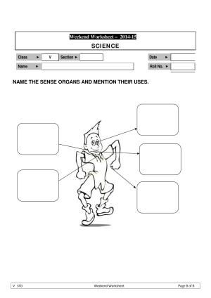 Worksheet for Class 5 Science Sense Organs Assignment