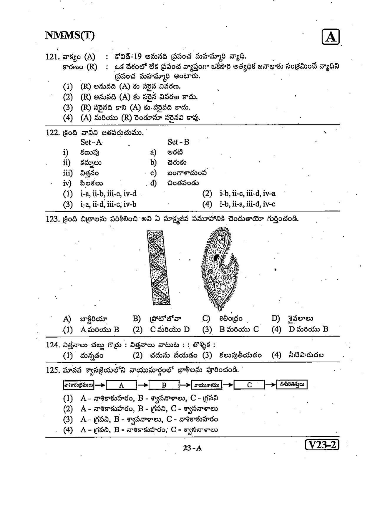 NMMS Question Papers FEBRUARY 2023 (Telugu Medium) - Page 23