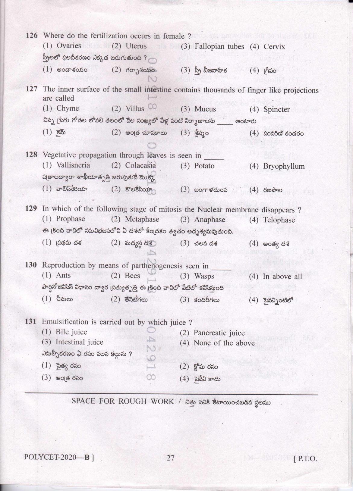 TS POLYCET 2020 Question Paper - Page 25