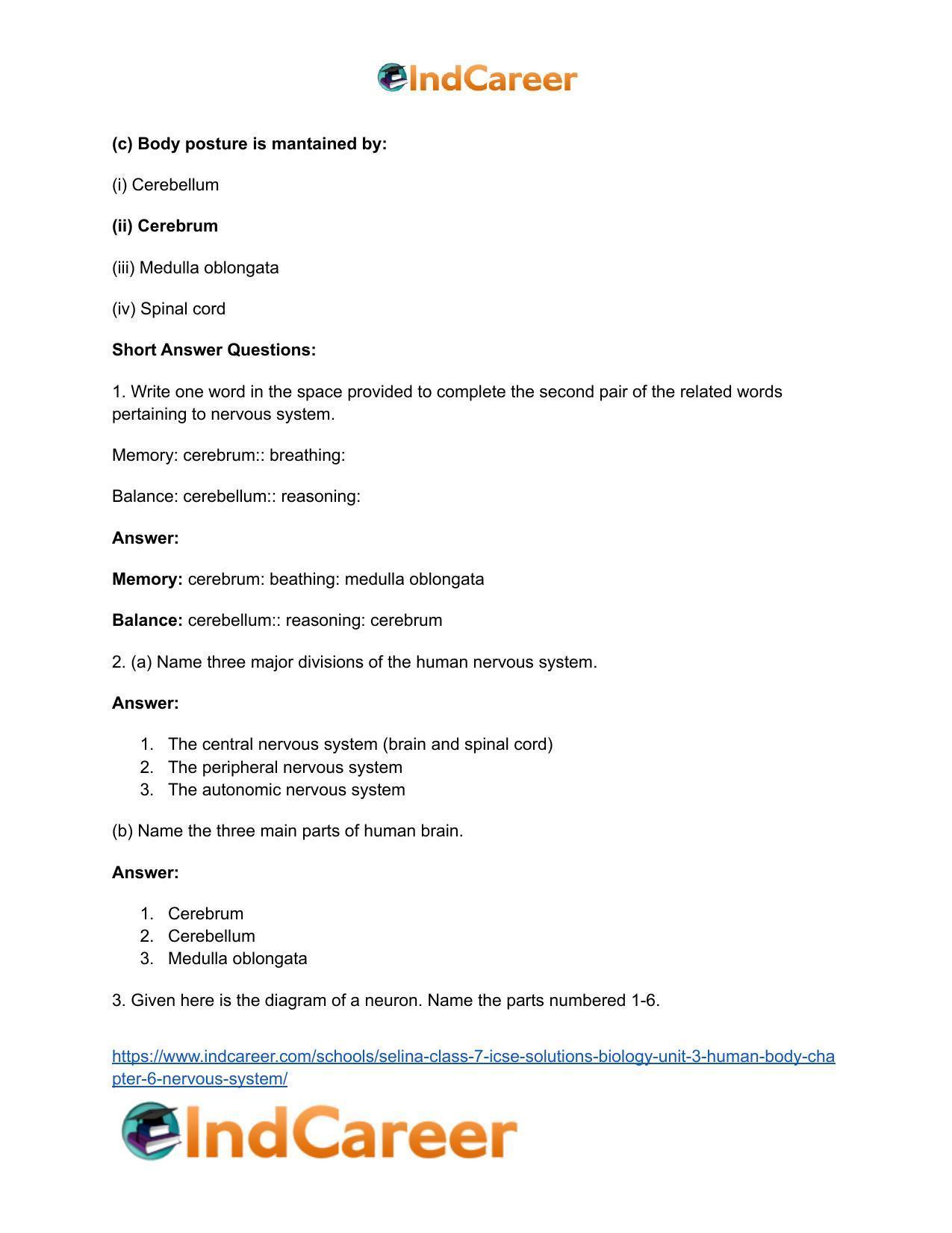 Selina Class 7 ICSE Solutions Biology (Unit 3) - Human Body: Chapter 6- Nervous System - Page 3