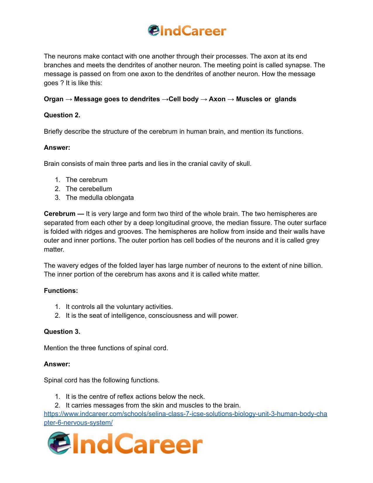 Selina Class 7 ICSE Solutions Biology (Unit 3) - Human Body: Chapter 6- Nervous System - Page 5