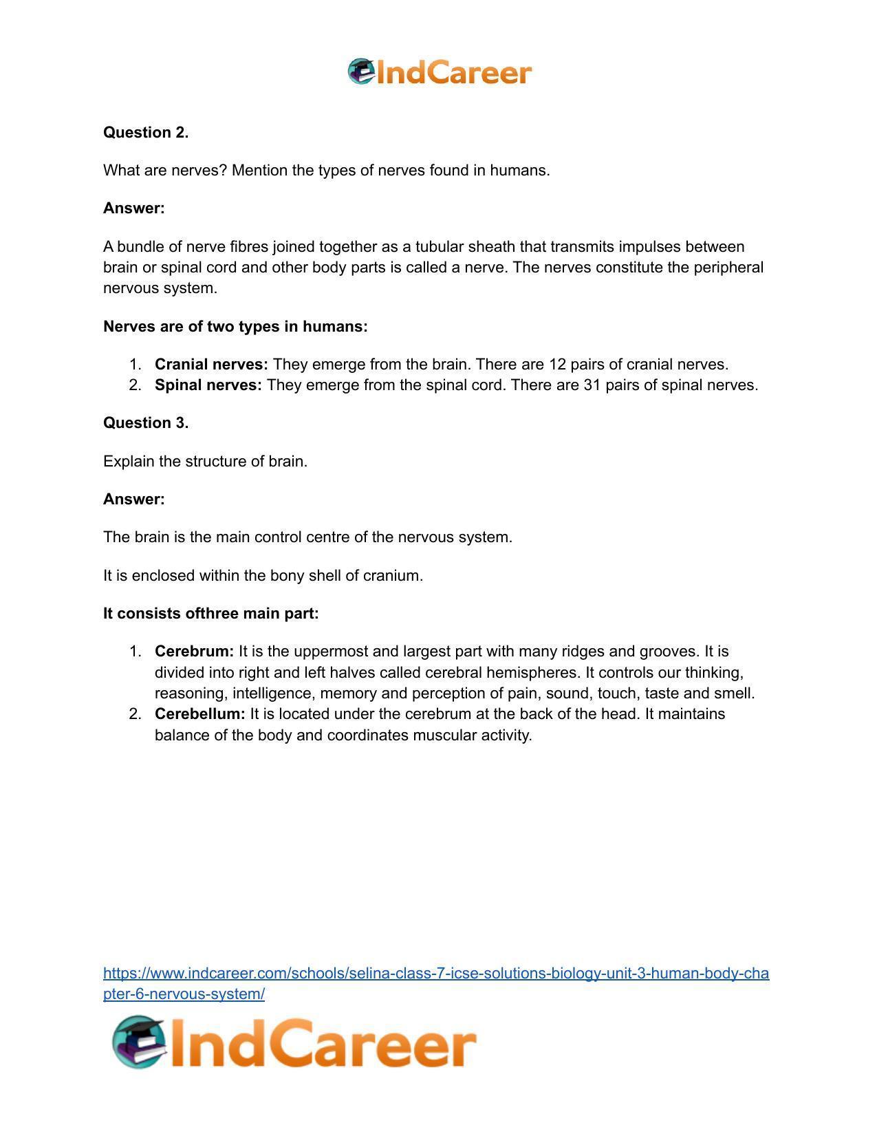 Selina Class 7 ICSE Solutions Biology (Unit 3) - Human Body: Chapter 6- Nervous System - Page 9