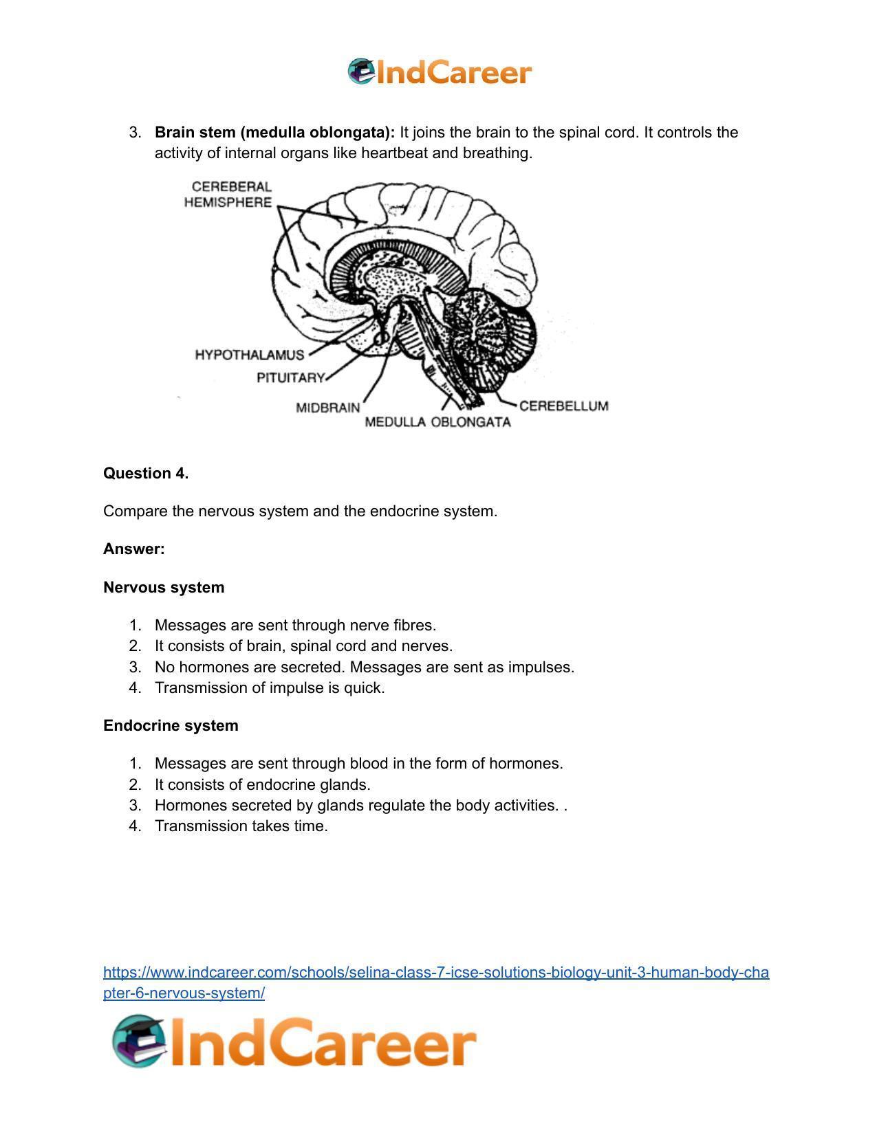 Selina Class 7 ICSE Solutions Biology (Unit 3) - Human Body: Chapter 6- Nervous System - Page 10