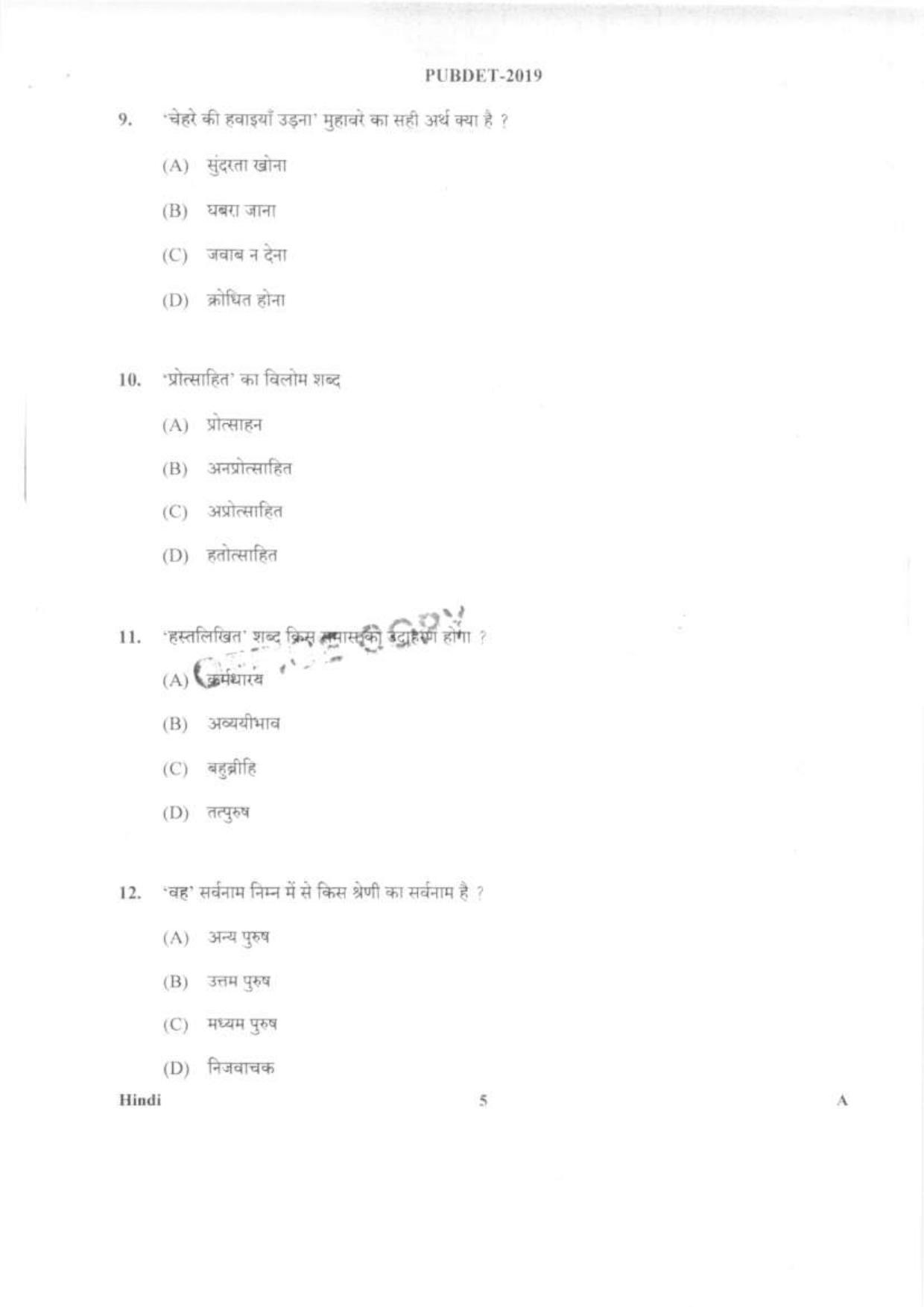 PUBDET 2019 Hindi Question Papers - Page 4