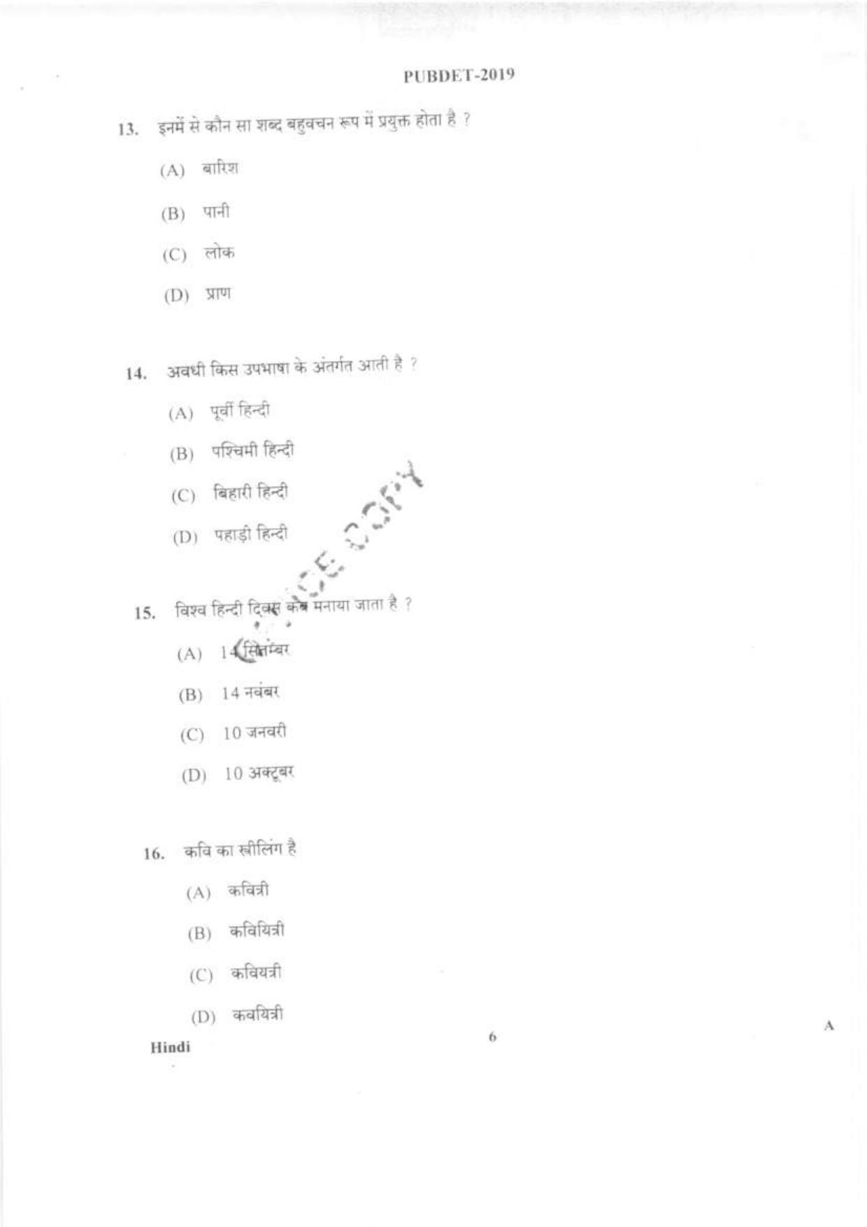 PUBDET 2019 Hindi Question Papers - Page 5