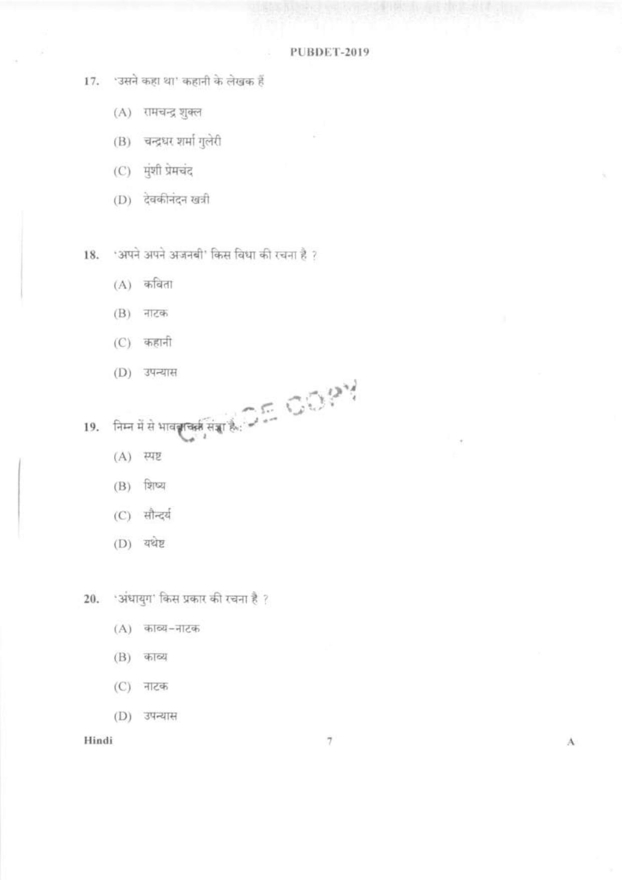 PUBDET 2019 Hindi Question Papers - Page 6