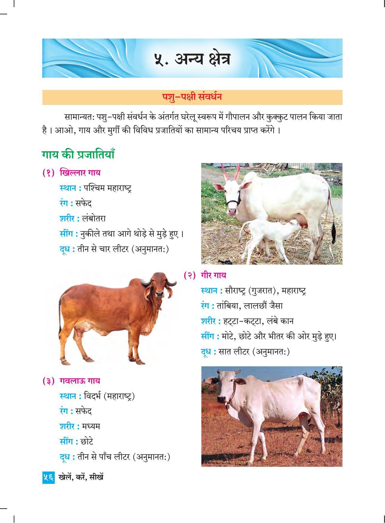 Maharashtra Board Class 4 Play Do Learn (Hindi Medium) Textbook - Page 65
