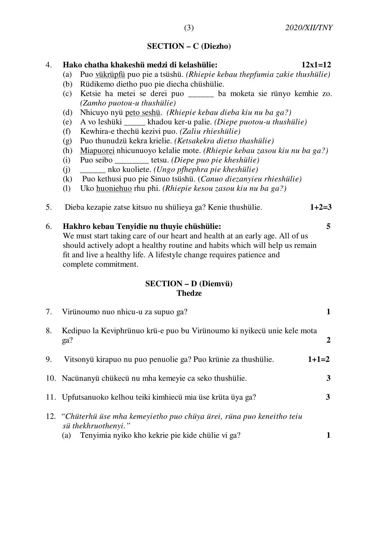 Nagaland Board Class 12 TENYIDIE 2020 Question Papers - Page 3