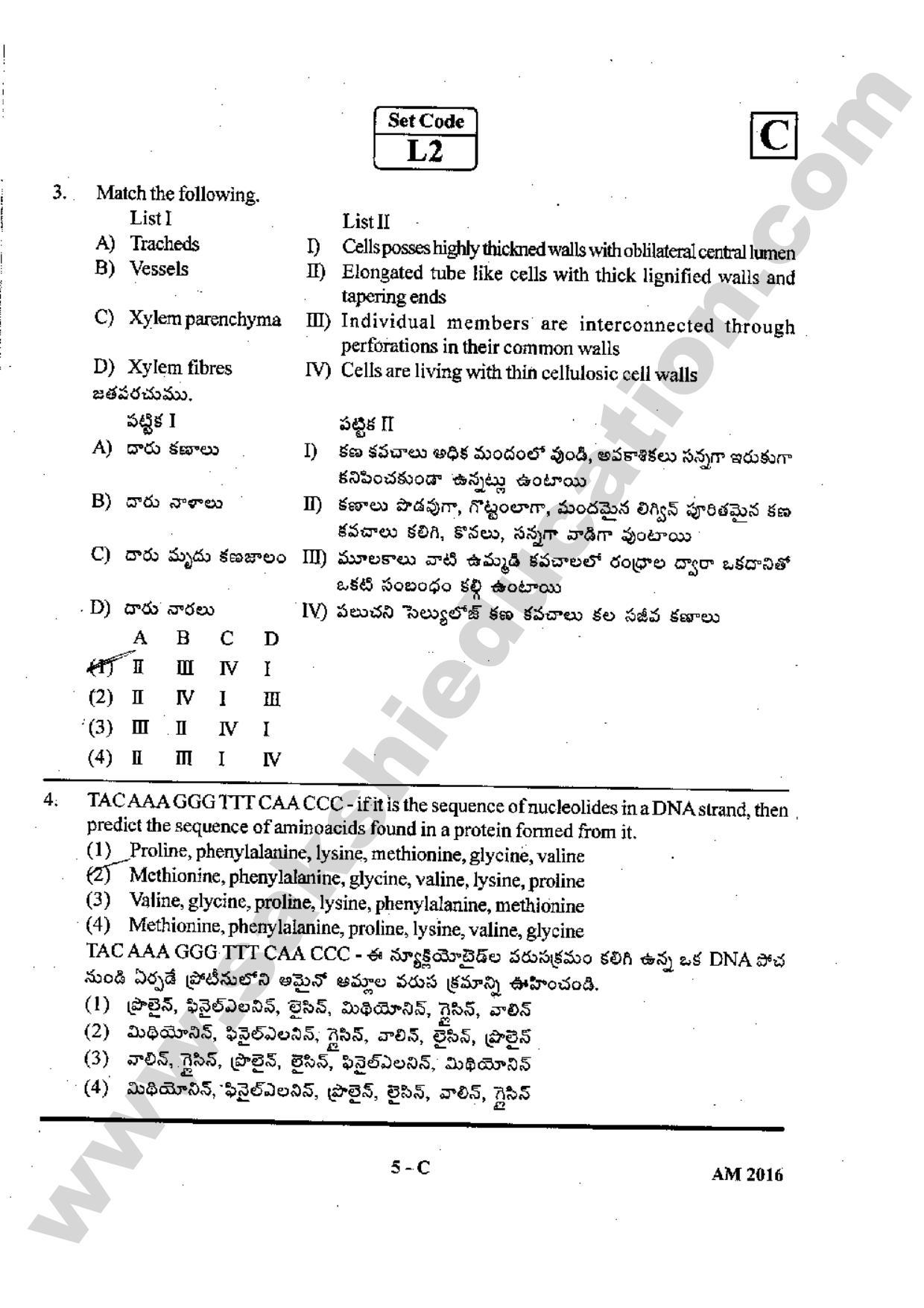 TS EAMCET 2016 Medical Question Paper with Preliminary Key - Page 4