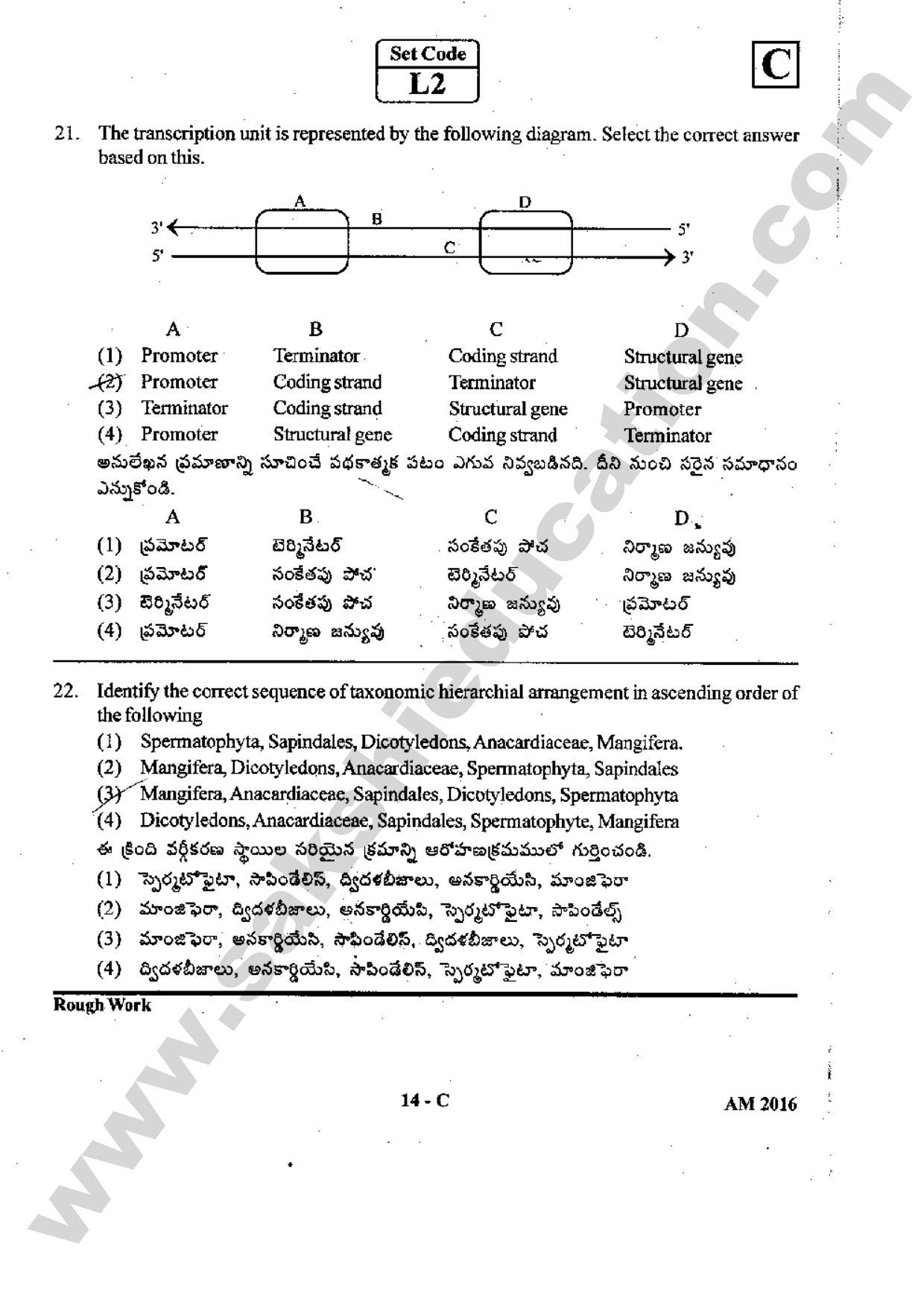 TS EAMCET 2016 Medical Question Paper with Preliminary Key - Page 13