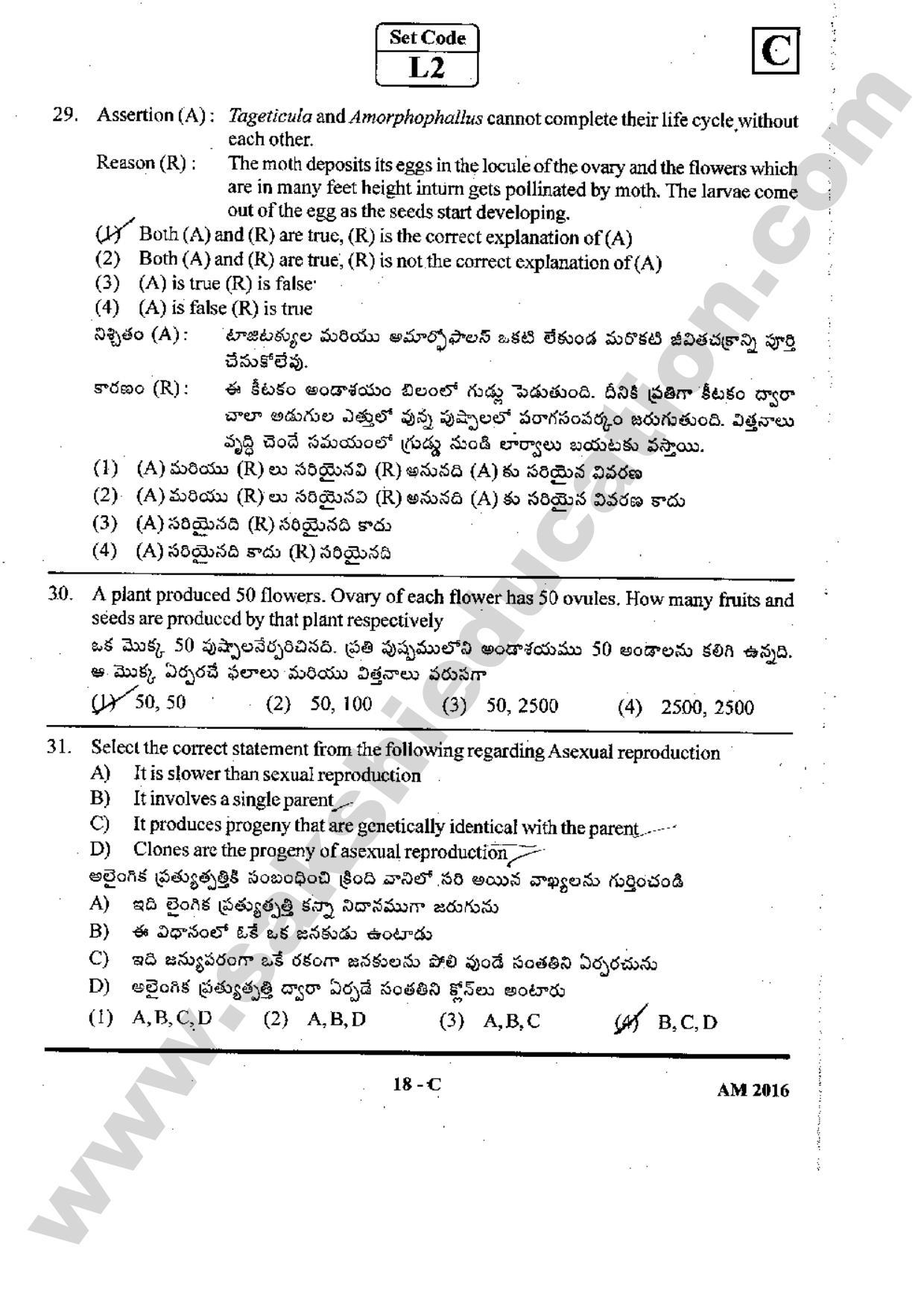 TS EAMCET 2016 Medical Question Paper with Preliminary Key - Page 17