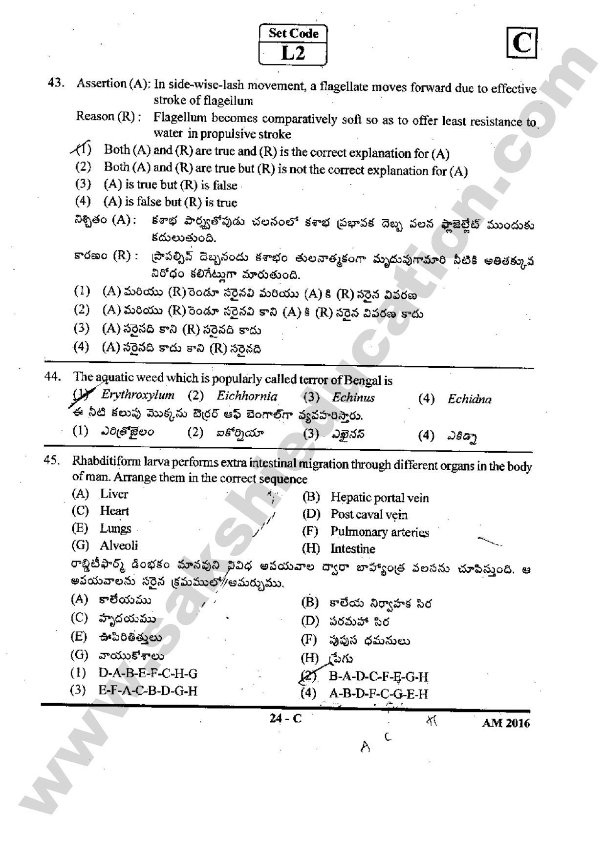 TS EAMCET 2016 Medical Question Paper with Preliminary Key - Page 23