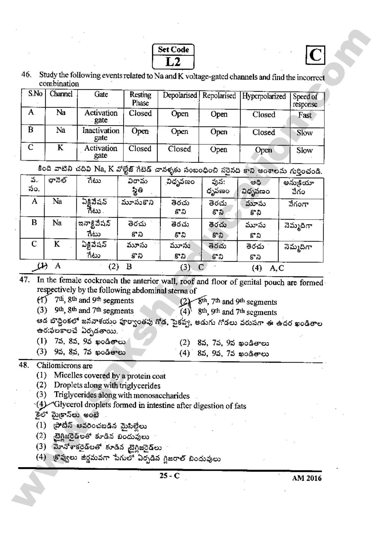TS EAMCET 2016 Medical Question Paper with Preliminary Key - Page 24