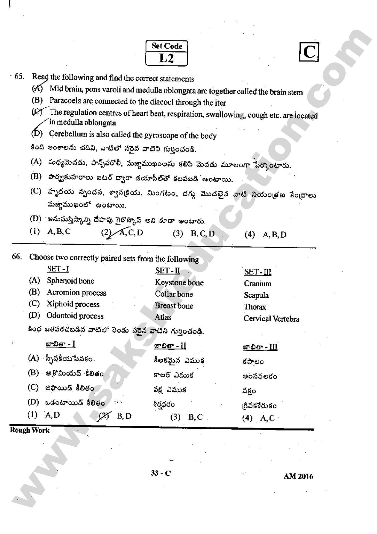 TS EAMCET 2016 Medical Question Paper with Preliminary Key - Page 32