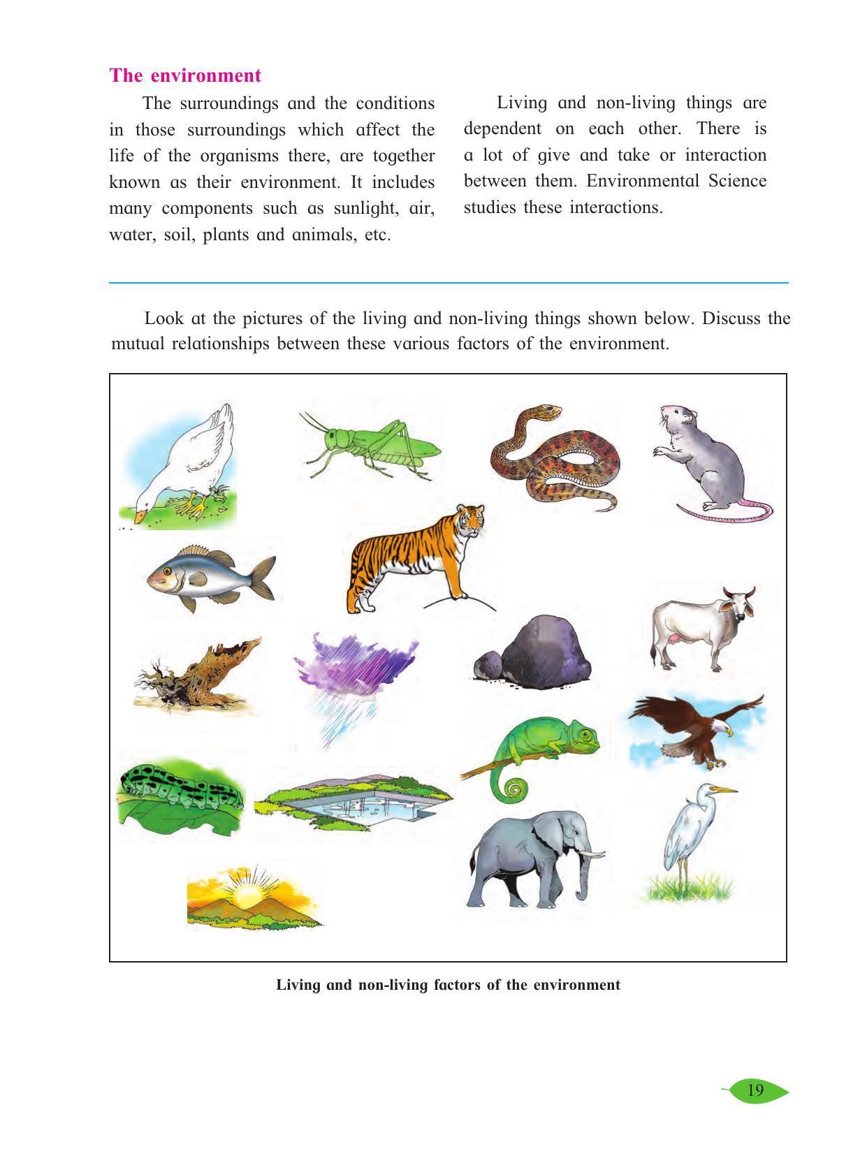 Maharashtra Board Class 5 Environmental Studies (Part 1) Textbook - Page 29