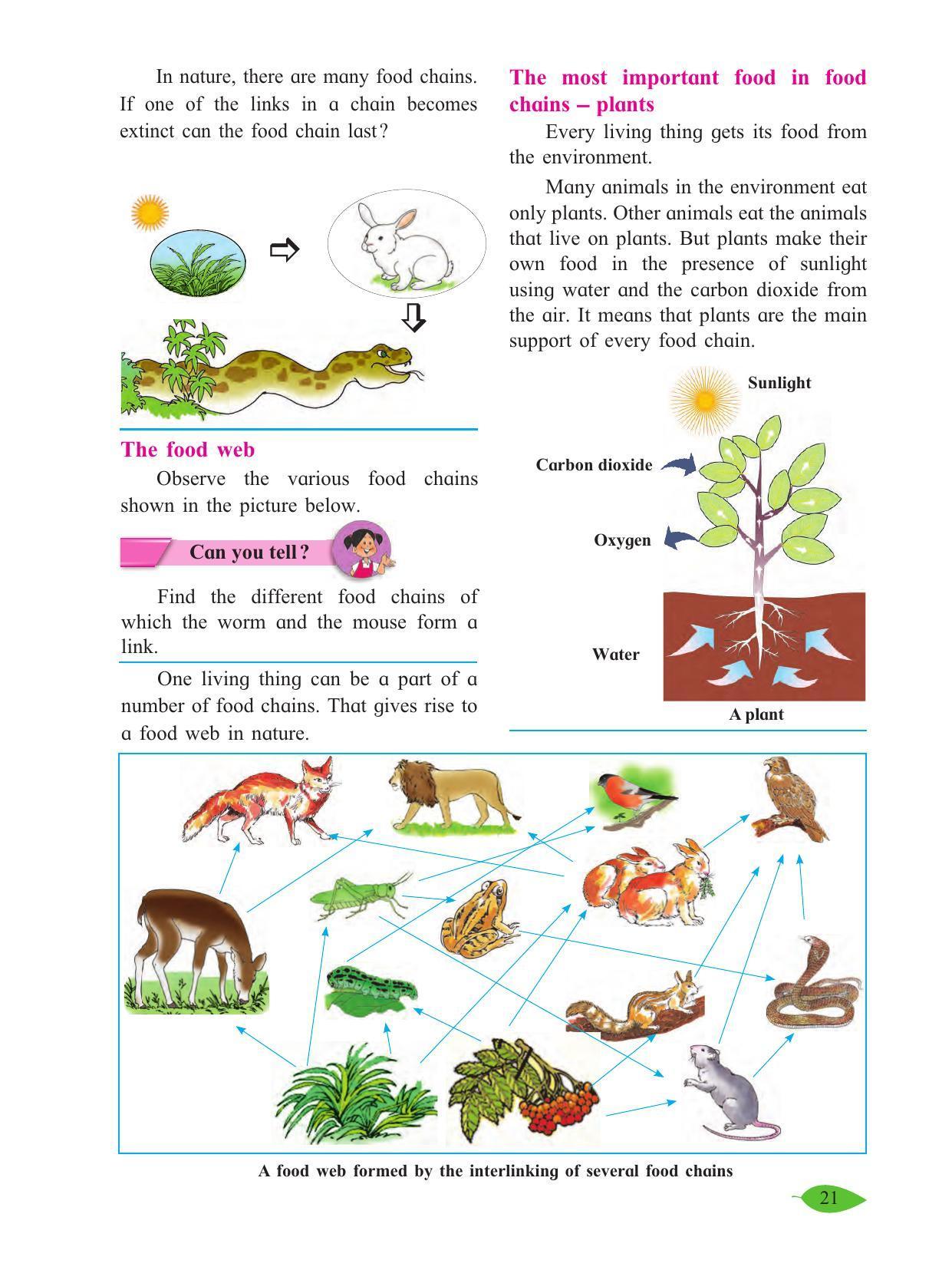 Maharashtra Board Class 5 Environmental Studies (Part 1) Textbook - Page 31