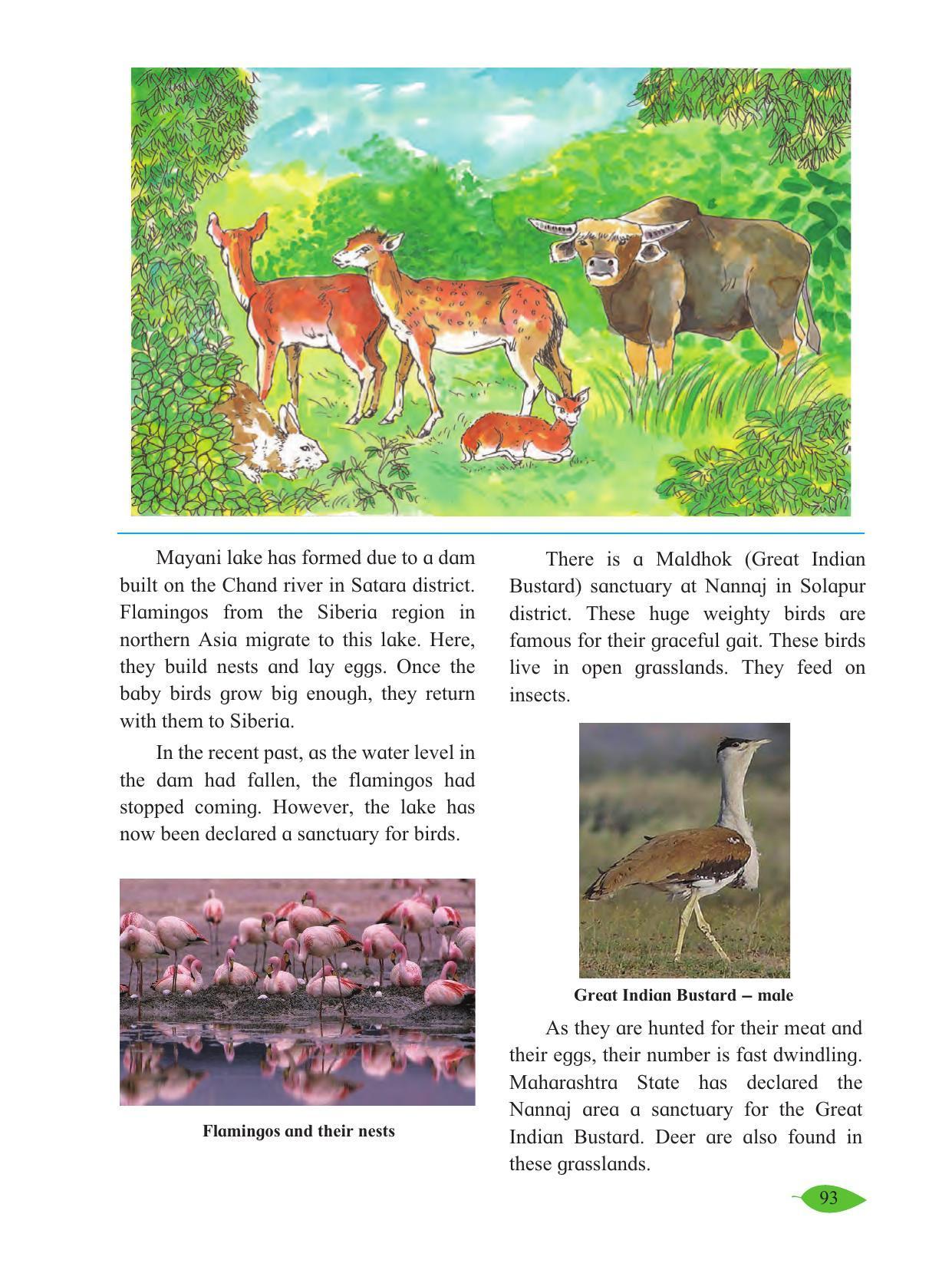 Maharashtra Board Class 5 Environmental Studies (Part 1) Textbook - Page 103