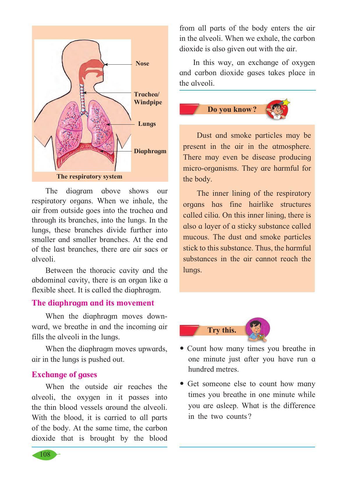 Maharashtra Board Class 5 Environmental Studies (Part 1) Textbook - Page 118