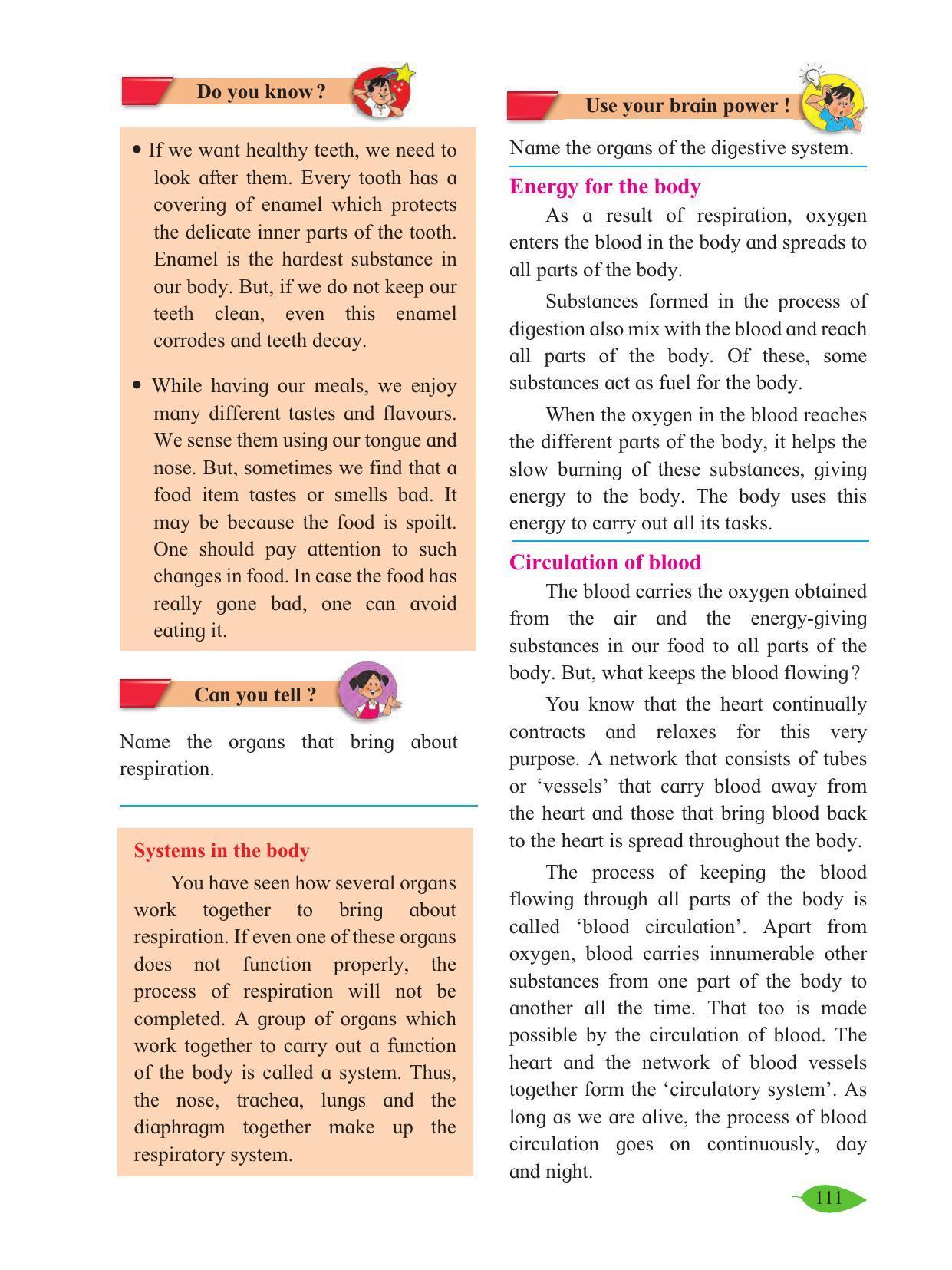 Maharashtra Board Class 5 Environmental Studies (Part 1) Textbook - Page 121