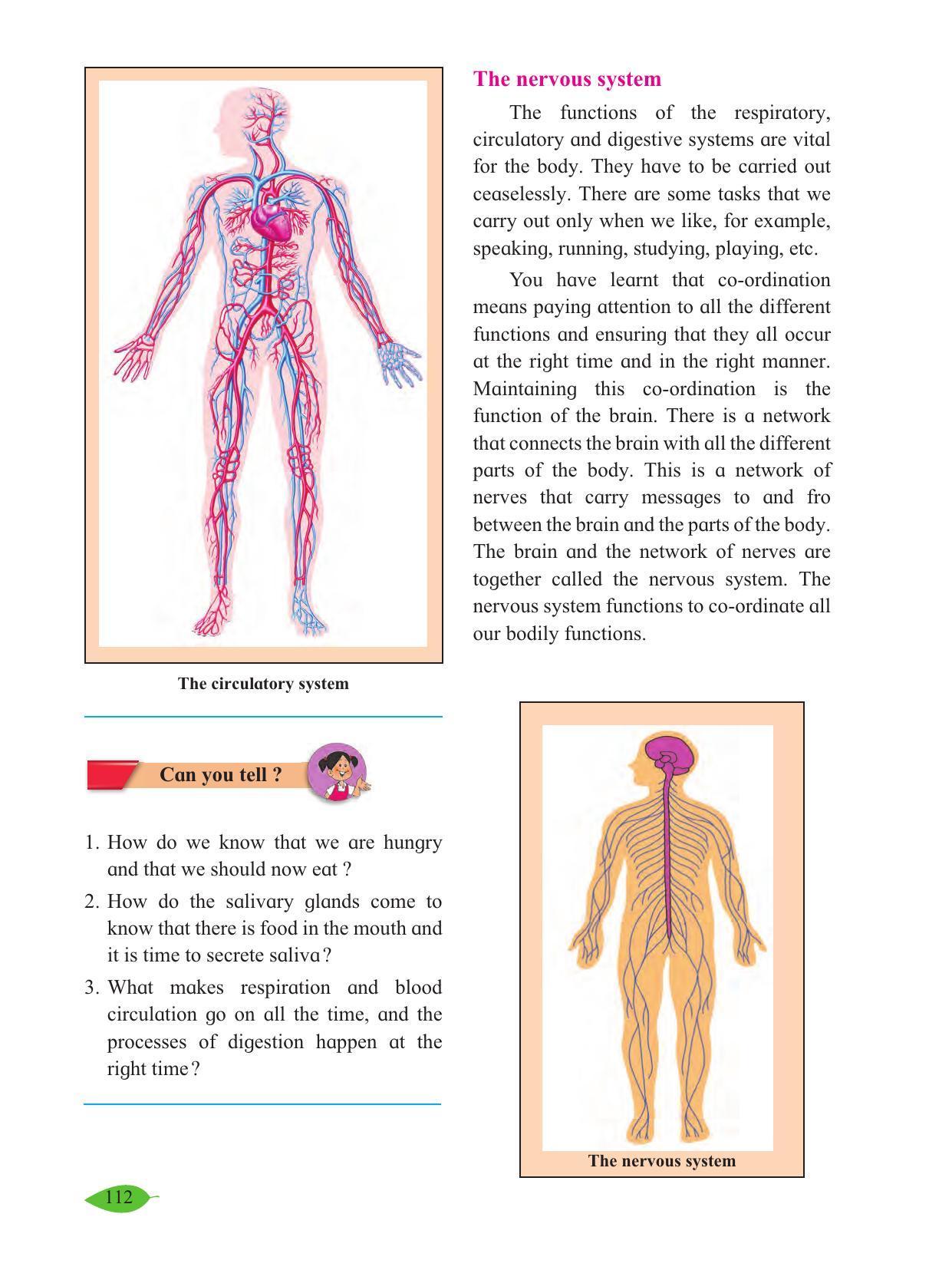 Maharashtra Board Class 5 Environmental Studies (Part 1) Textbook - Page 122