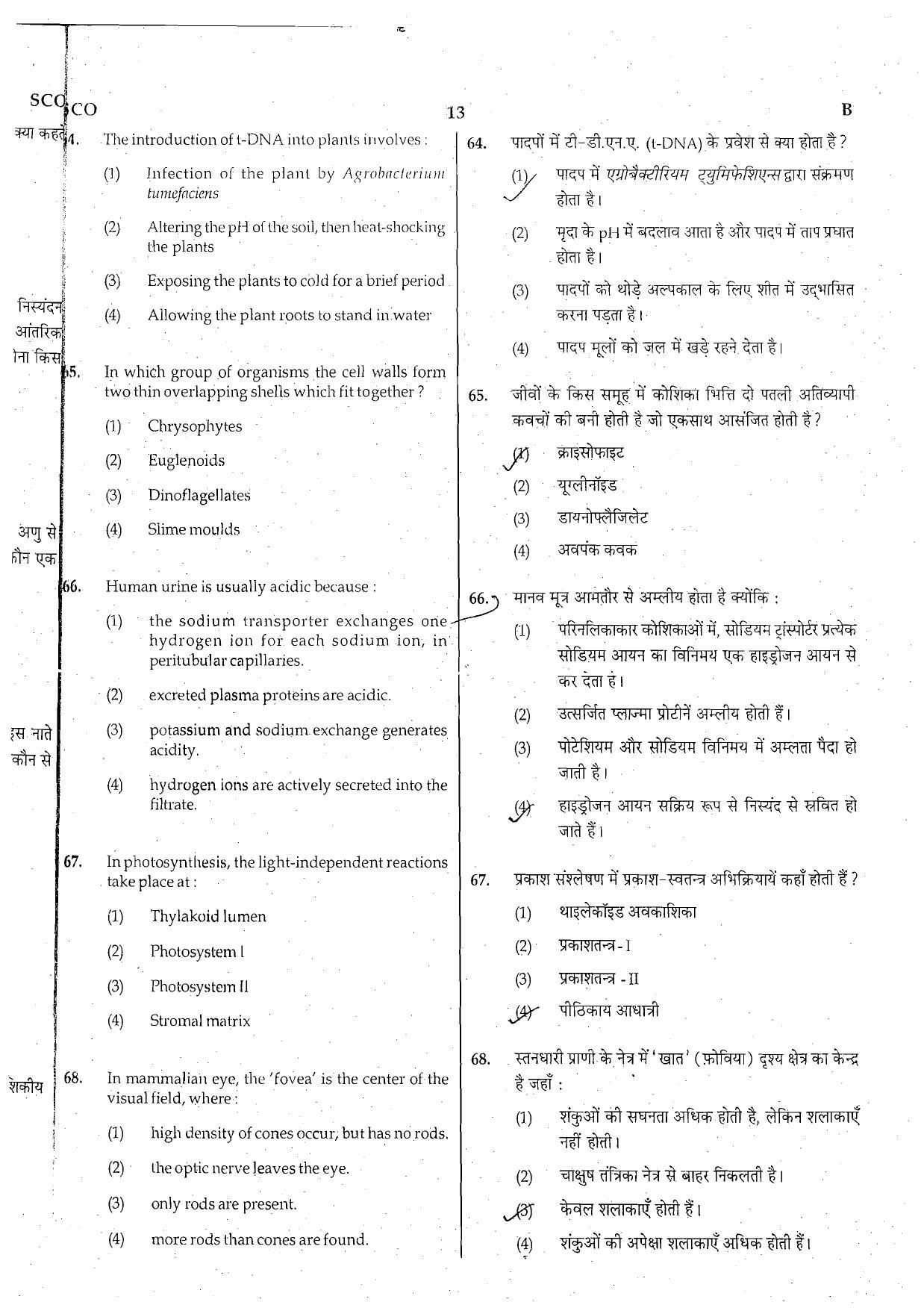 NEET Code B 2015 Question Paper - Page 13