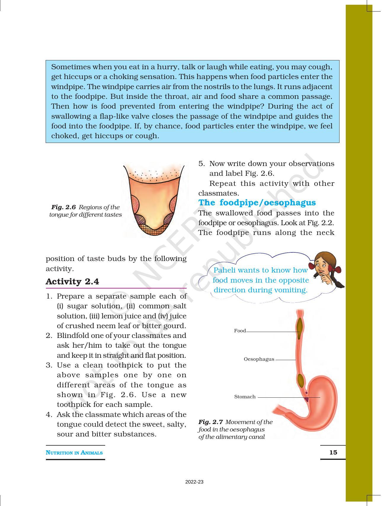 NCERT Book for Class 7 Science: Chapter 2-Nutrition in Animals - Page 5