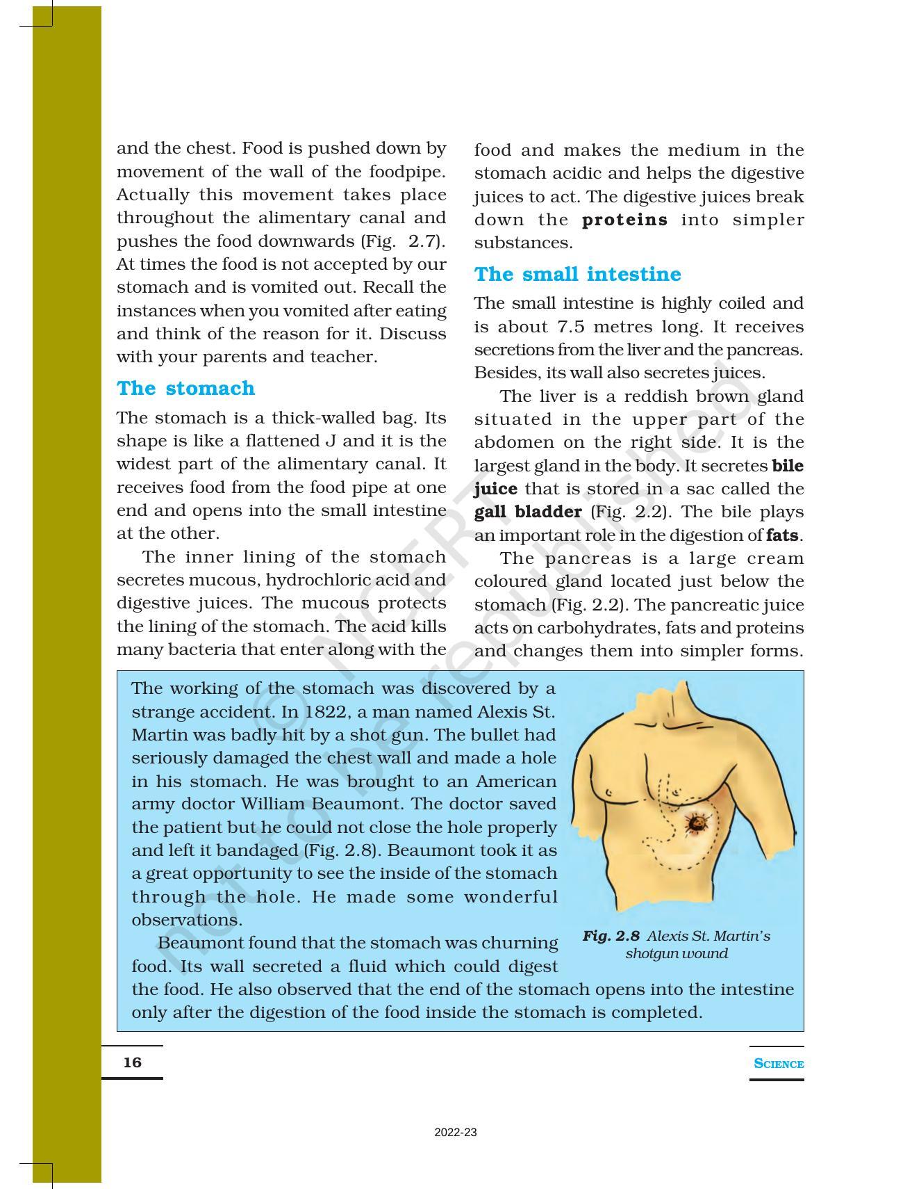 NCERT Book for Class 7 Science: Chapter 2-Nutrition in Animals - Page 6