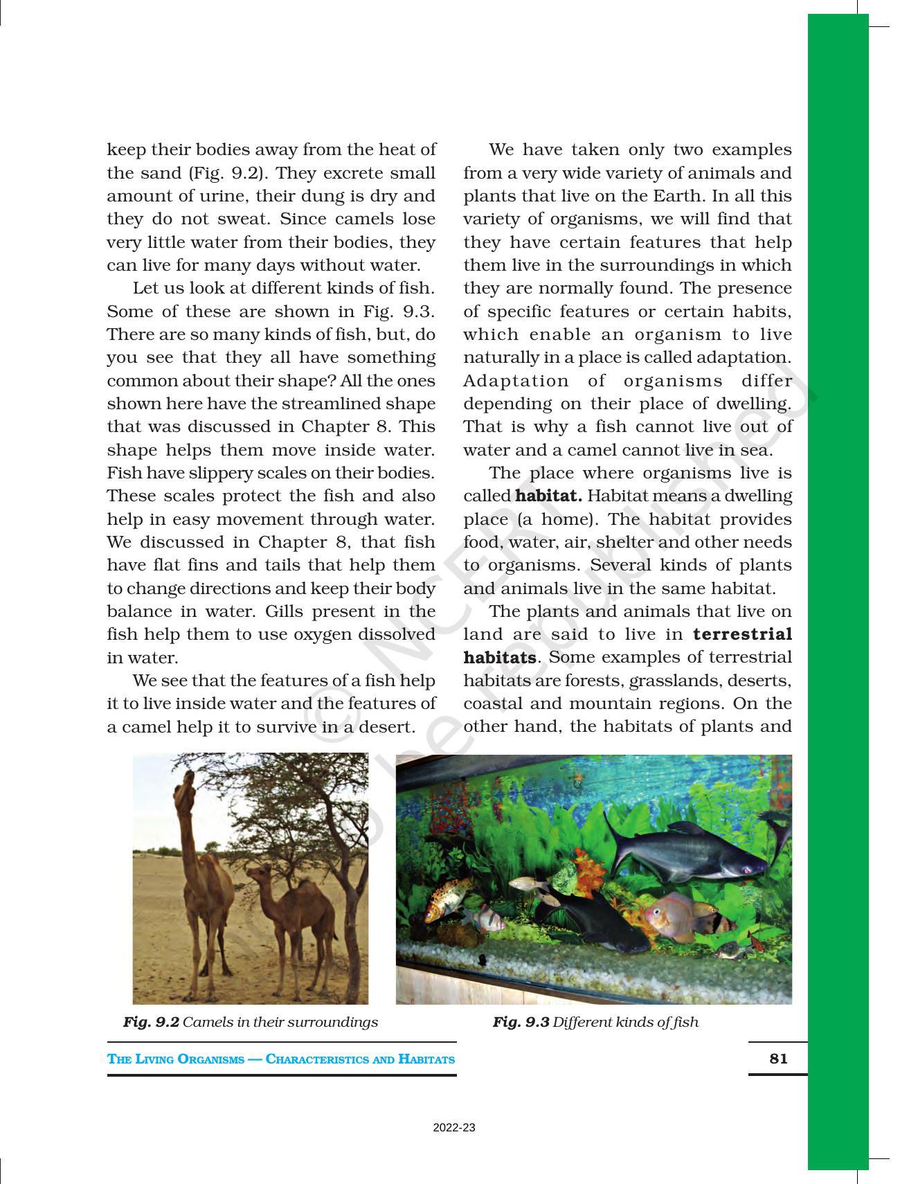 NCERT Book for Class 6 Science: Chapter 9-The Living Organisms and Their Surroundings - Page 3