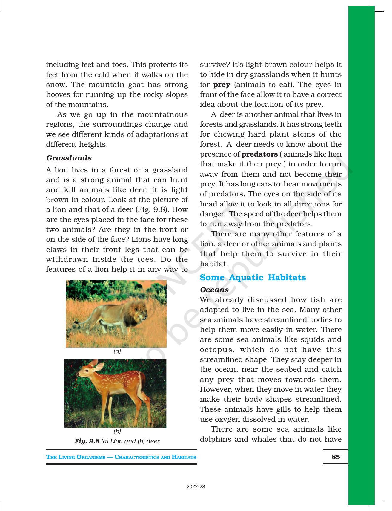 NCERT Book for Class 6 Science: Chapter 9-The Living Organisms and Their Surroundings - Page 7