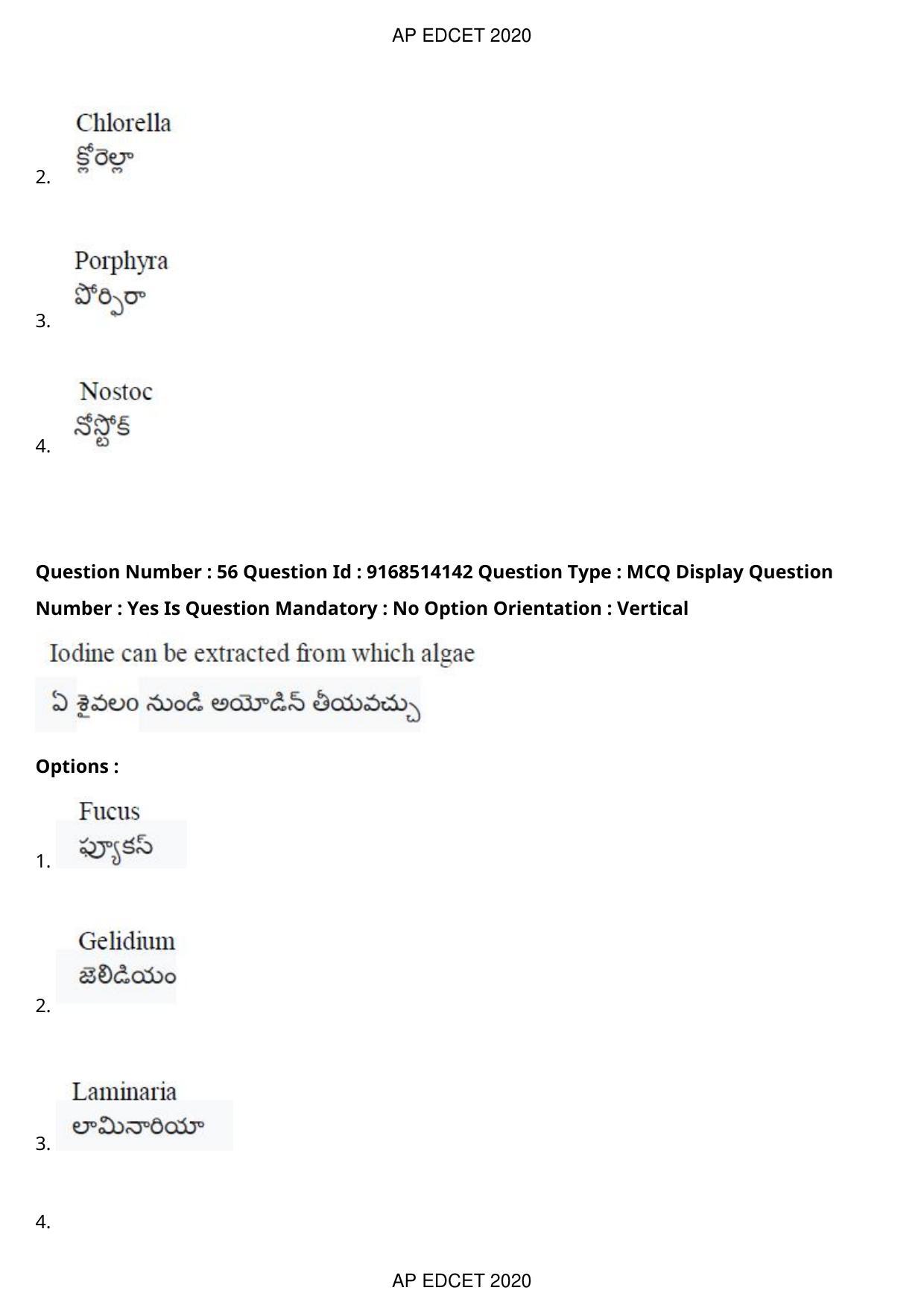 AP EDCET 2020 Biological Science Question Paper - Page 41