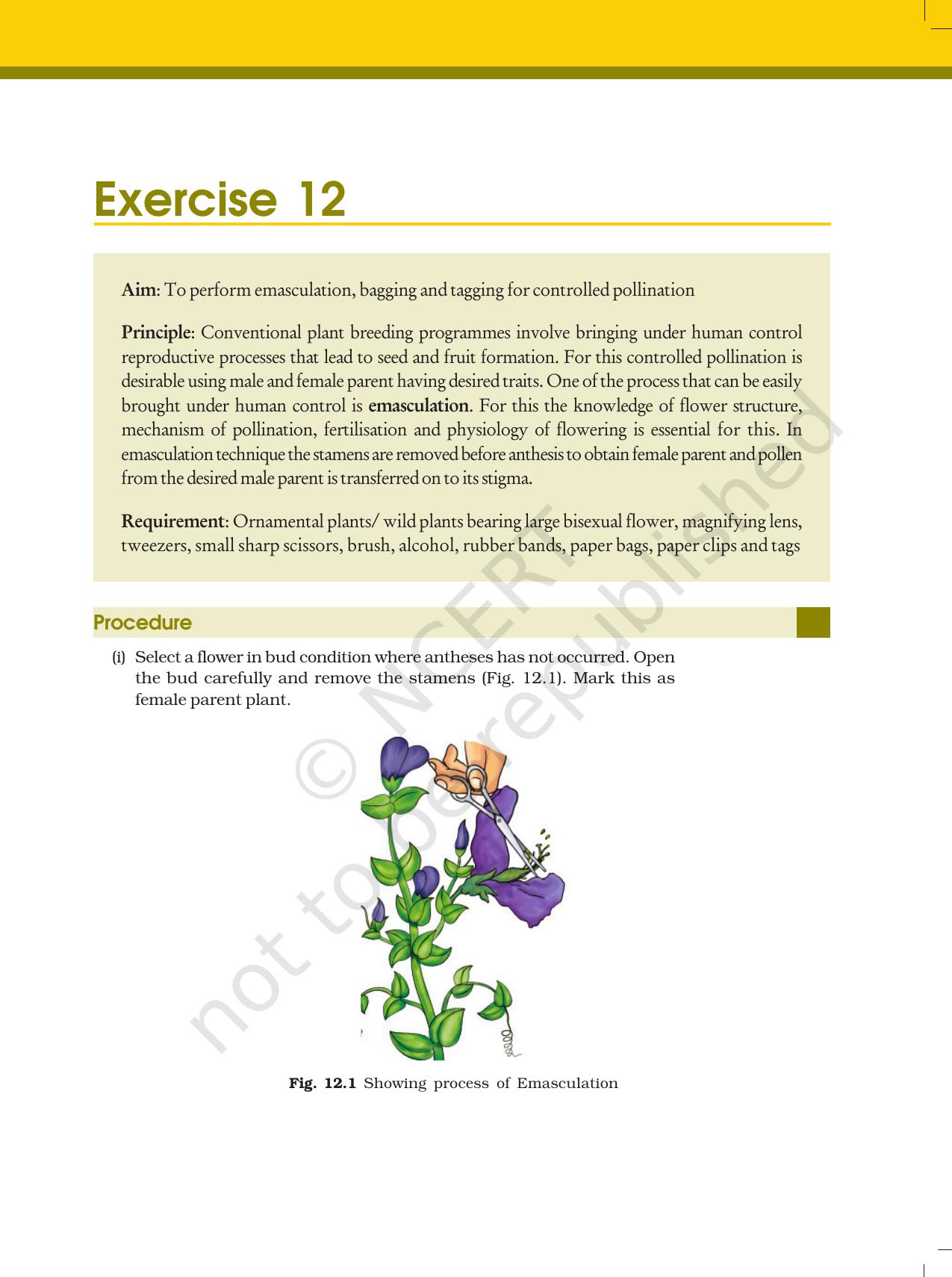 NCERT Laboratory Manuals for Class XII Biology - Exercise 12 & 13 - Page 1