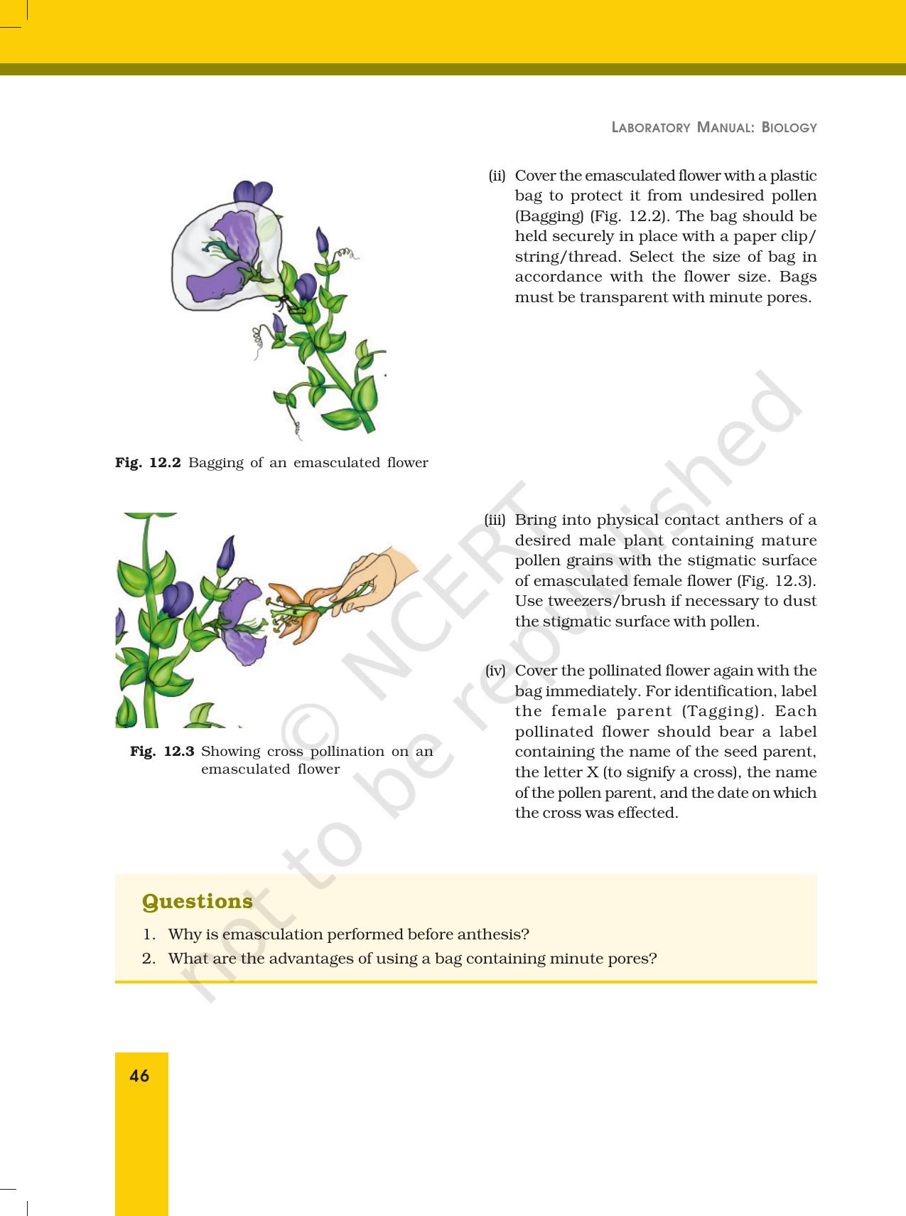 NCERT Laboratory Manuals for Class XII Biology - Exercise 12 & 13 - Page 2