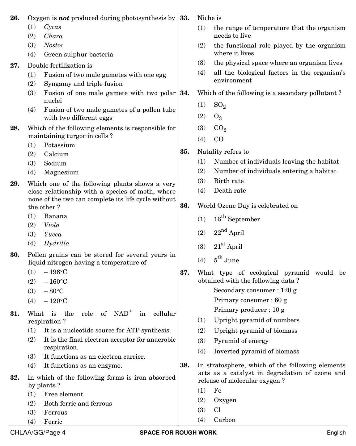 NEET English GG 2019 Question Paper - Page 4