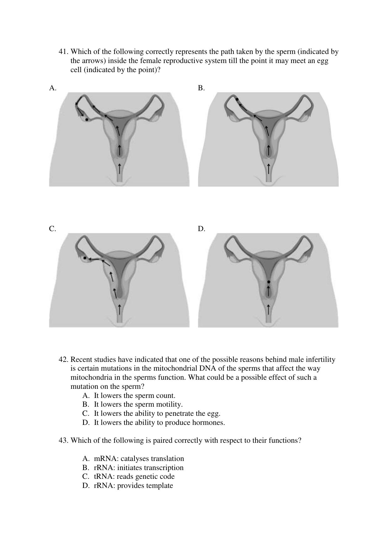 CBSE Class 12 Biology Term 1 Practice Questions 2021-22 - Page 13