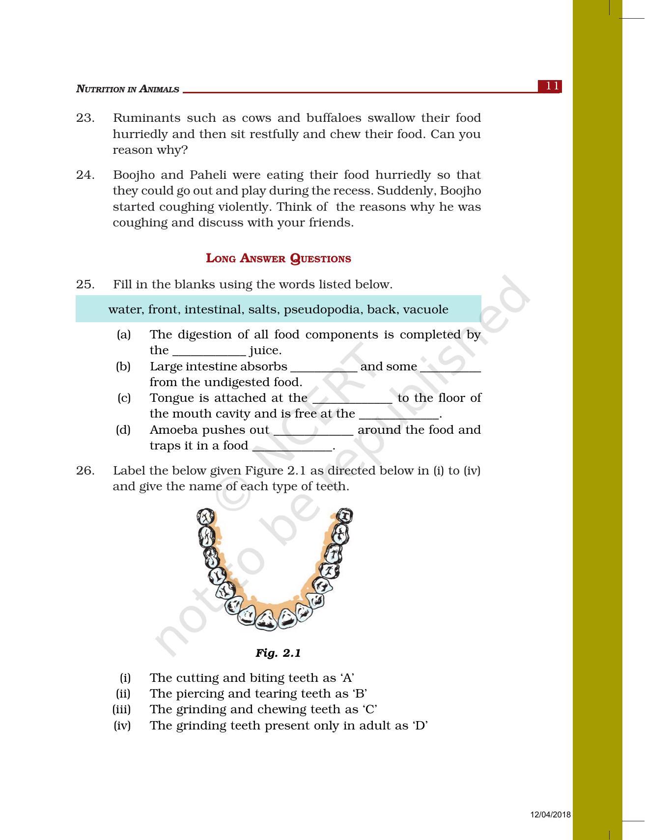 NCERT Exemplar Book for Class 7 Science: Chapter 2-Nutrition in Animals - Page 6