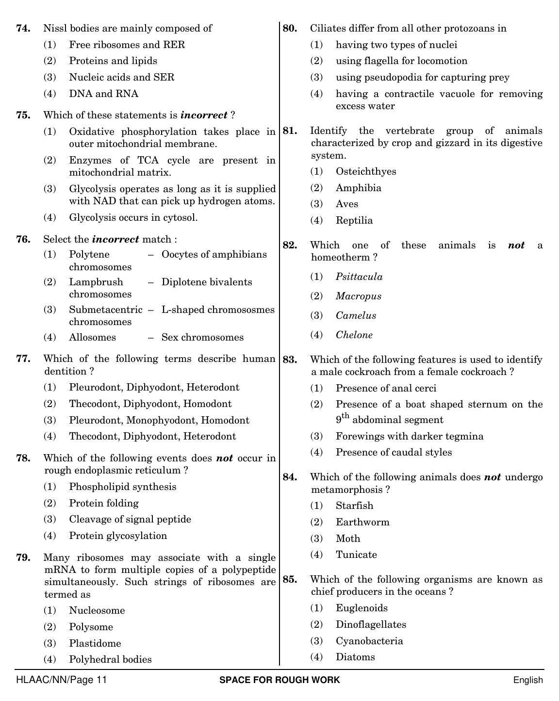 NEET English NN 2019 Question Paper - Page 11