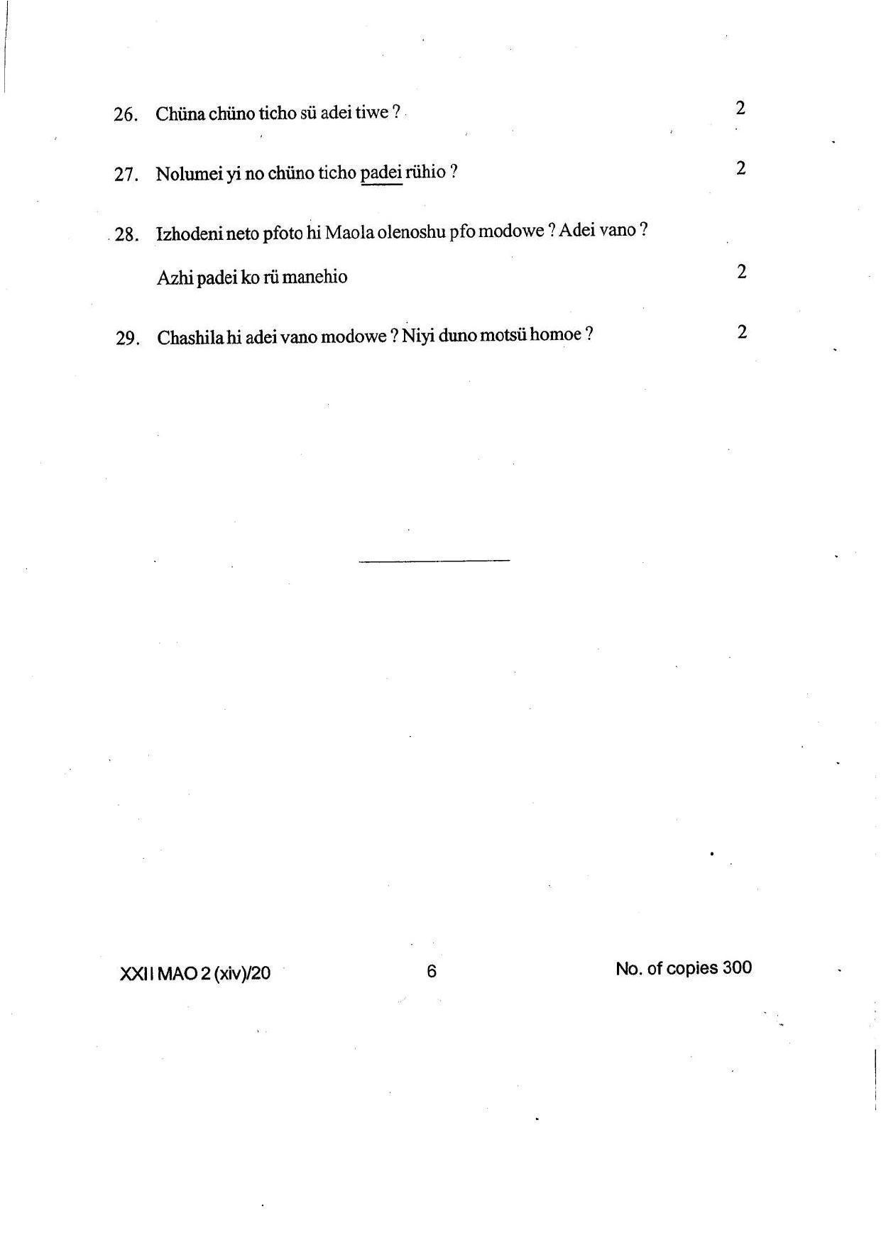 COHSEM Class 12 Mao-La Question Papers 2020 - Page 6