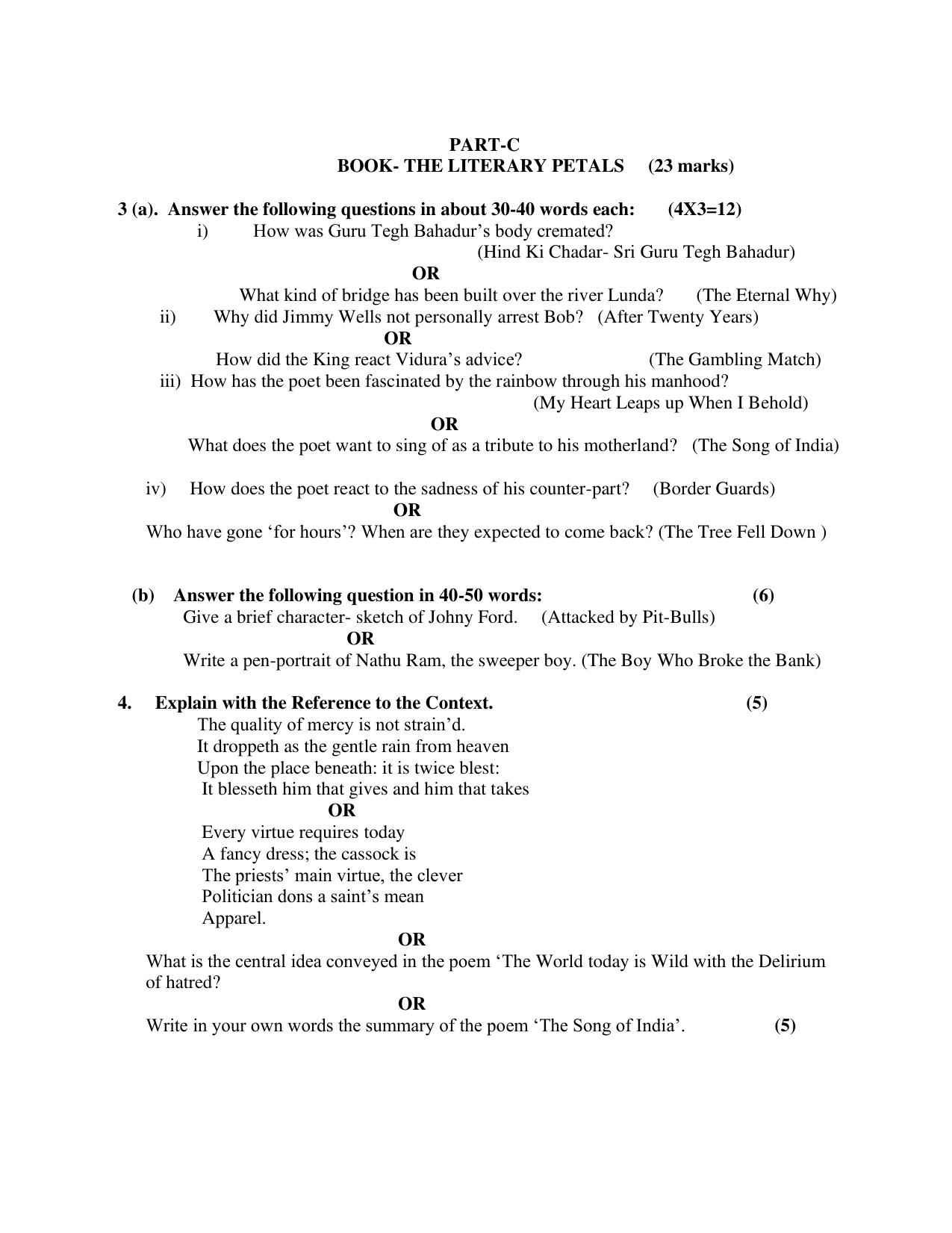 PSEB 12th Elective English Model Paper 2025 - Page 3