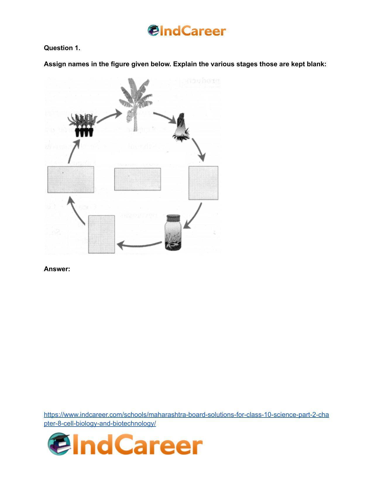 Maharashtra Board Solutions for Class 10- Science (Part 2): Chapter 8- Cell Biology and Biotechnology - Page 13