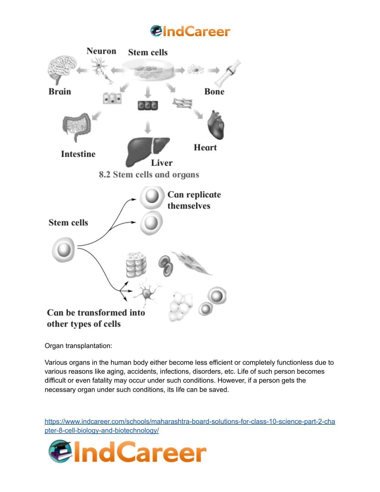 Maharashtra Board Solutions for Class 10- Science (Part 2): Chapter 8- Cell Biology and Biotechnology - Page 40
