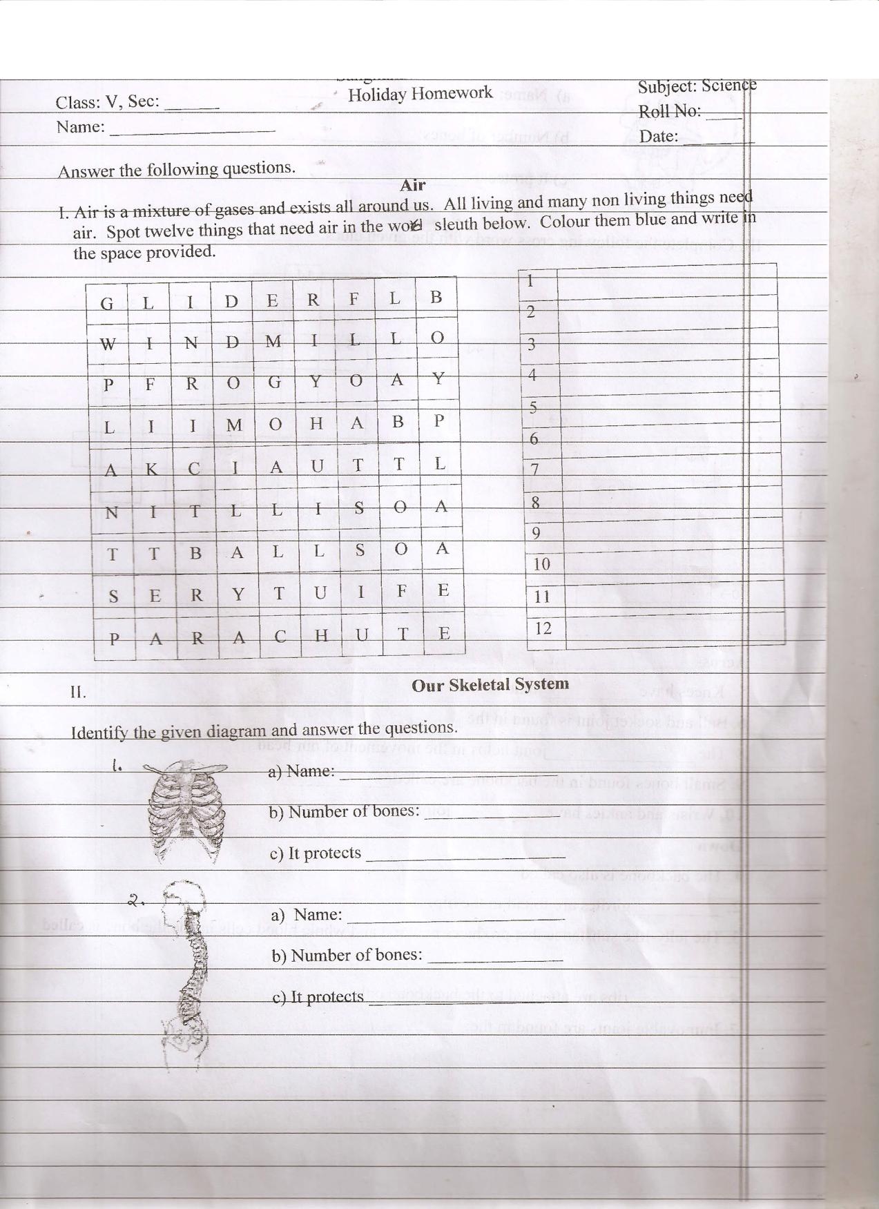 Worksheet for Class 5 Science Air, Skeletal System Assignment - Page 1