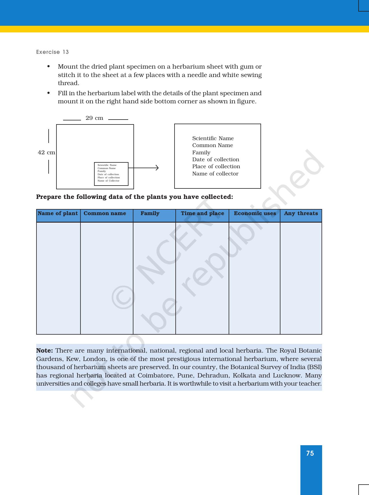 NCERT Laboratory Manuals for Class XI Biology - Exercise 13 - Page 2