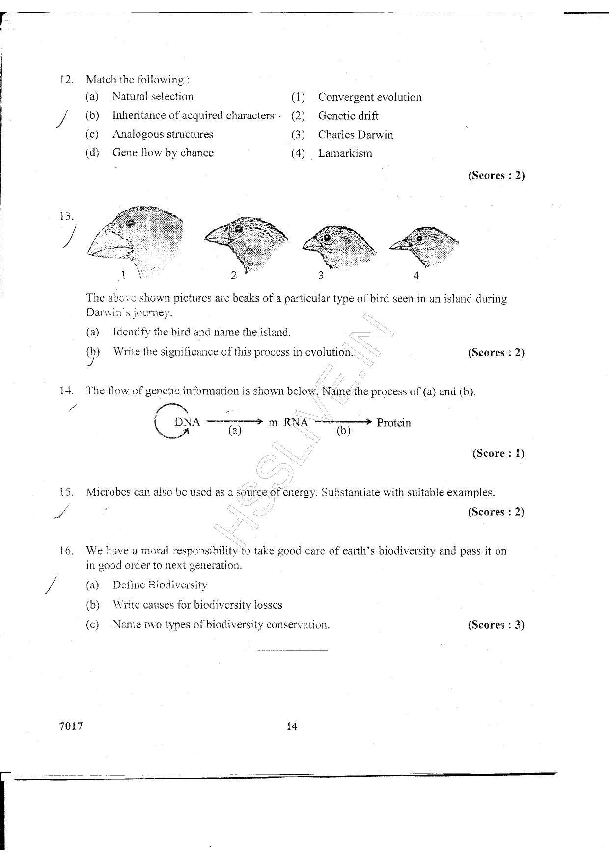 Kerala Plus Two 2015 Biology Question Paper - Page 8