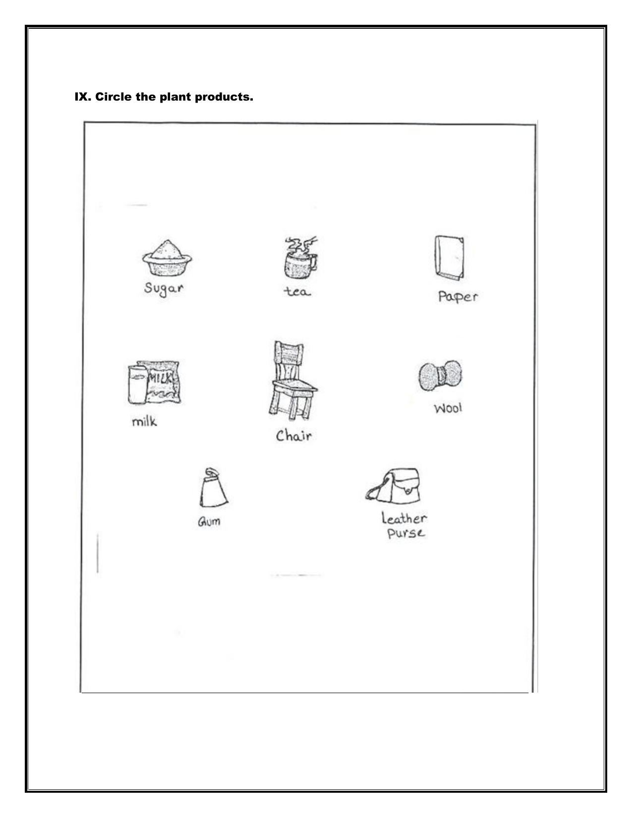 Worksheet for Class 1 Social Studies Assignment 2 - Page 15